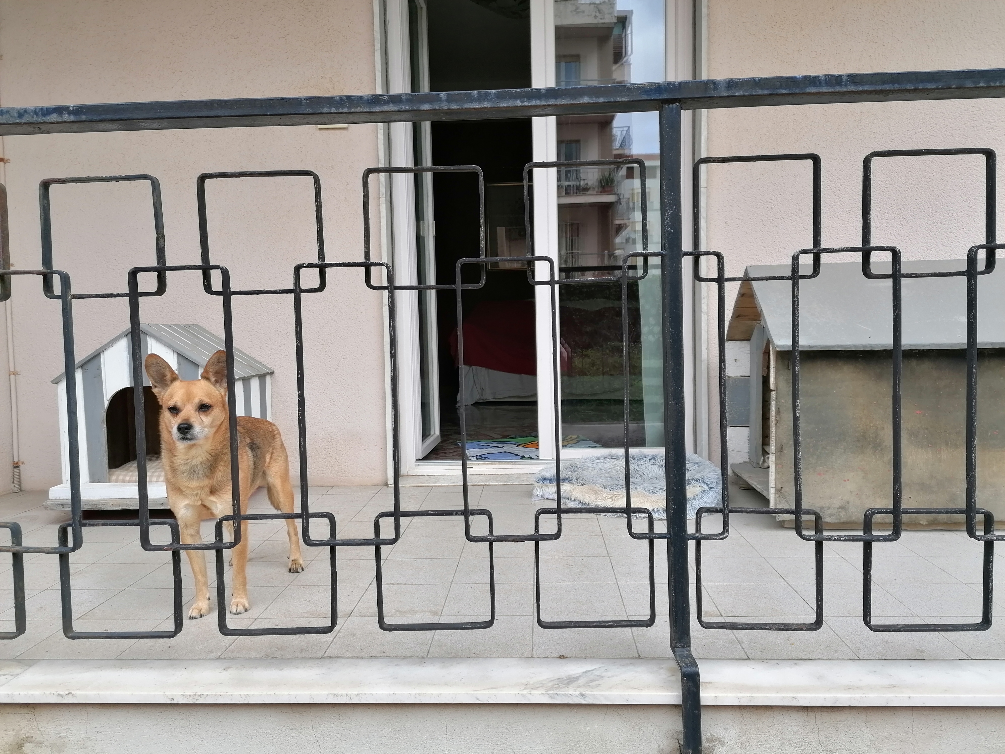 image-15