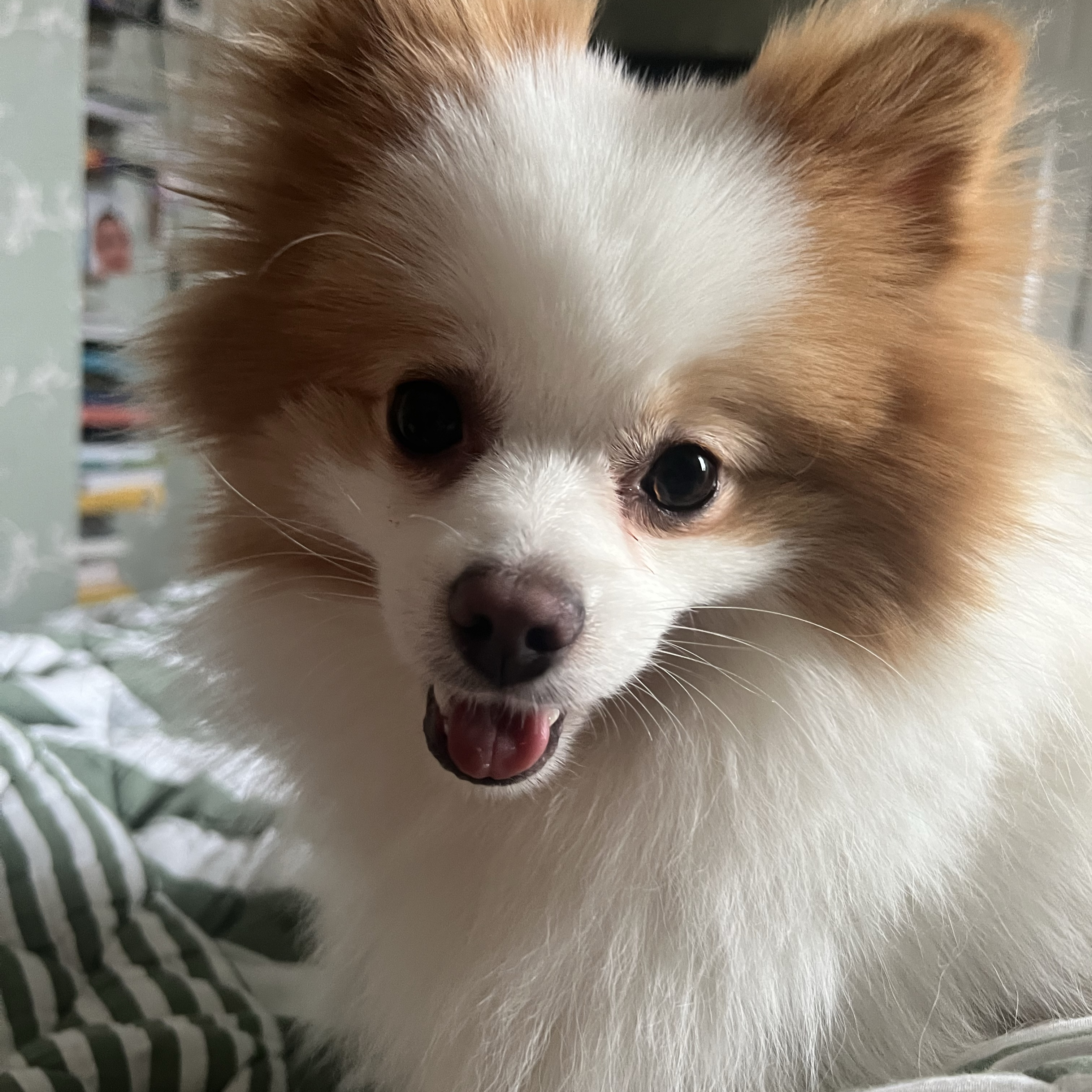 Max