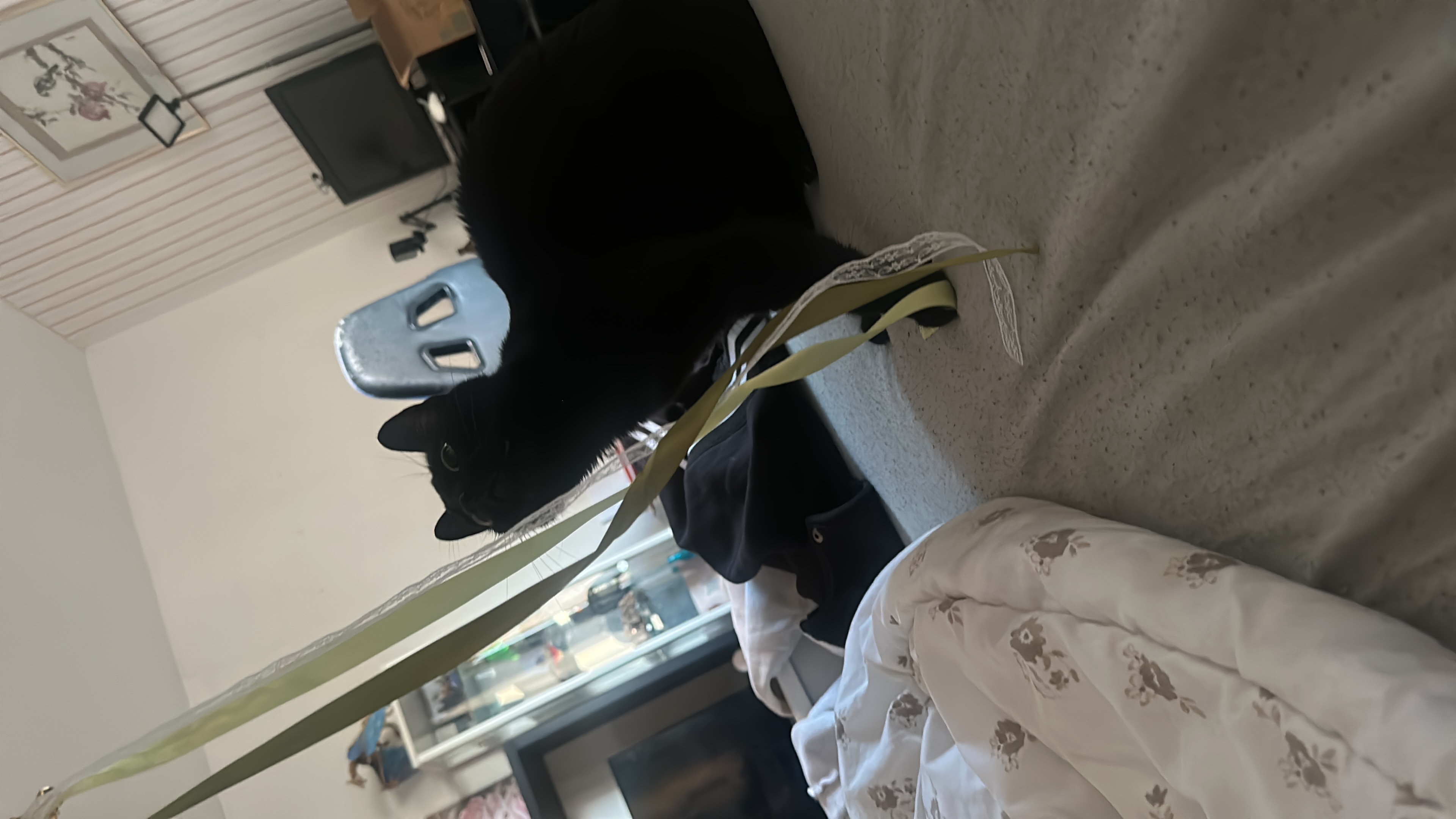 image-14