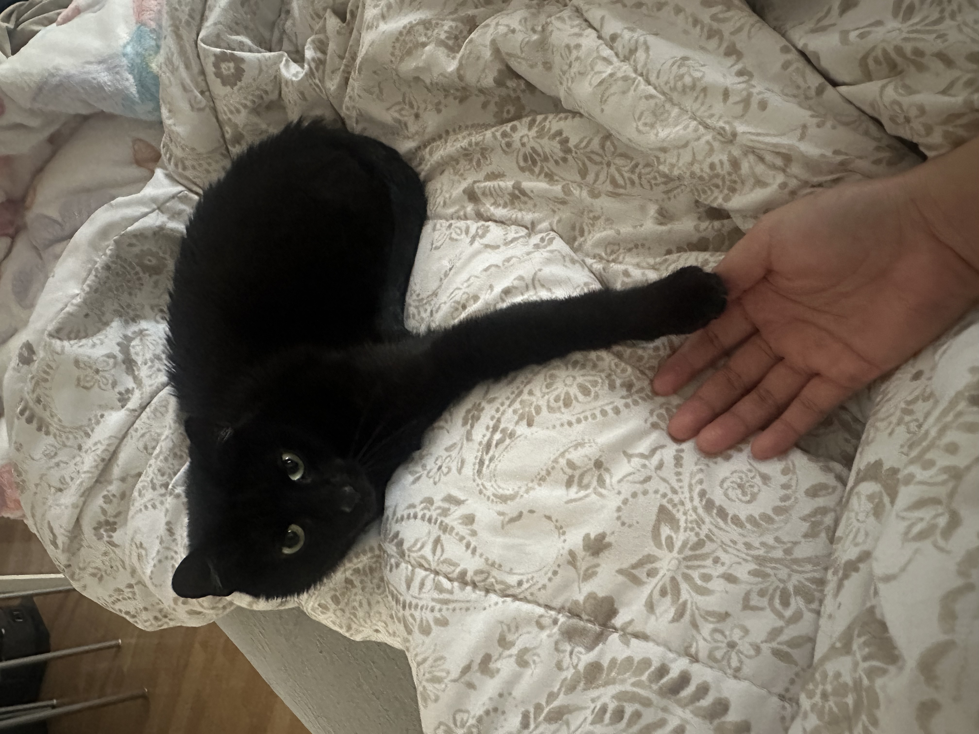 image-12