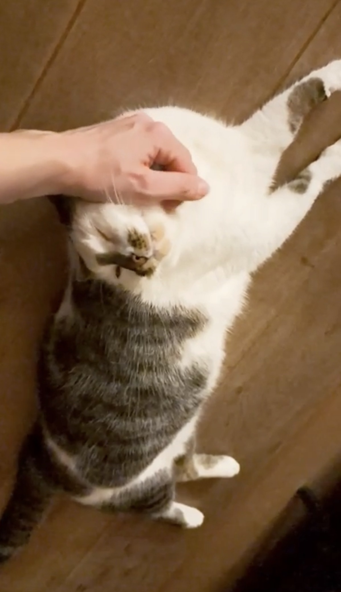 image-8