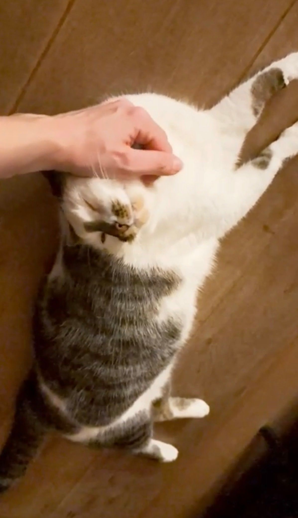image-8