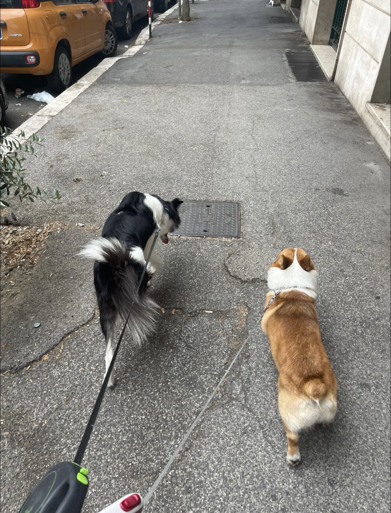 image-7