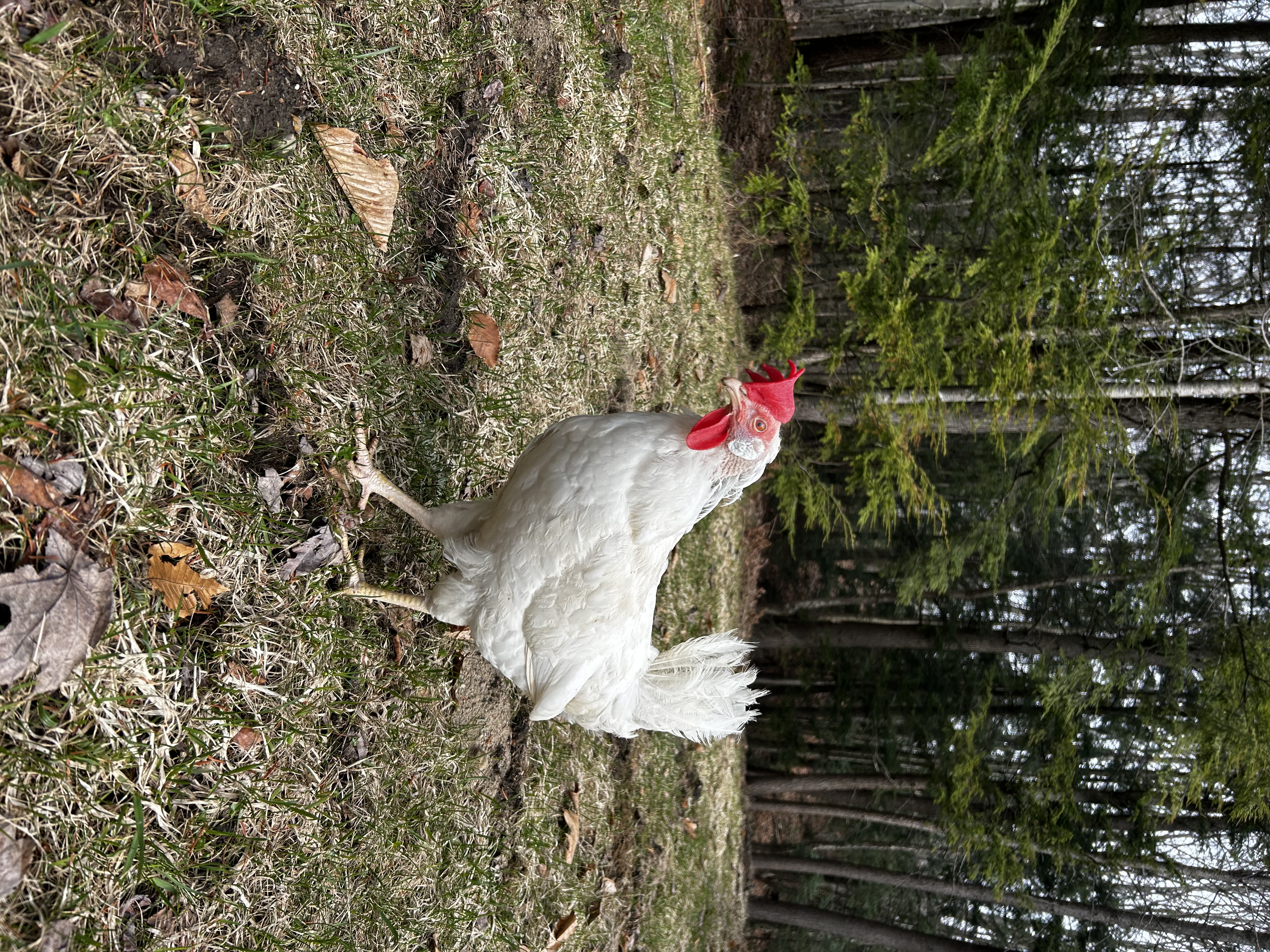image-9