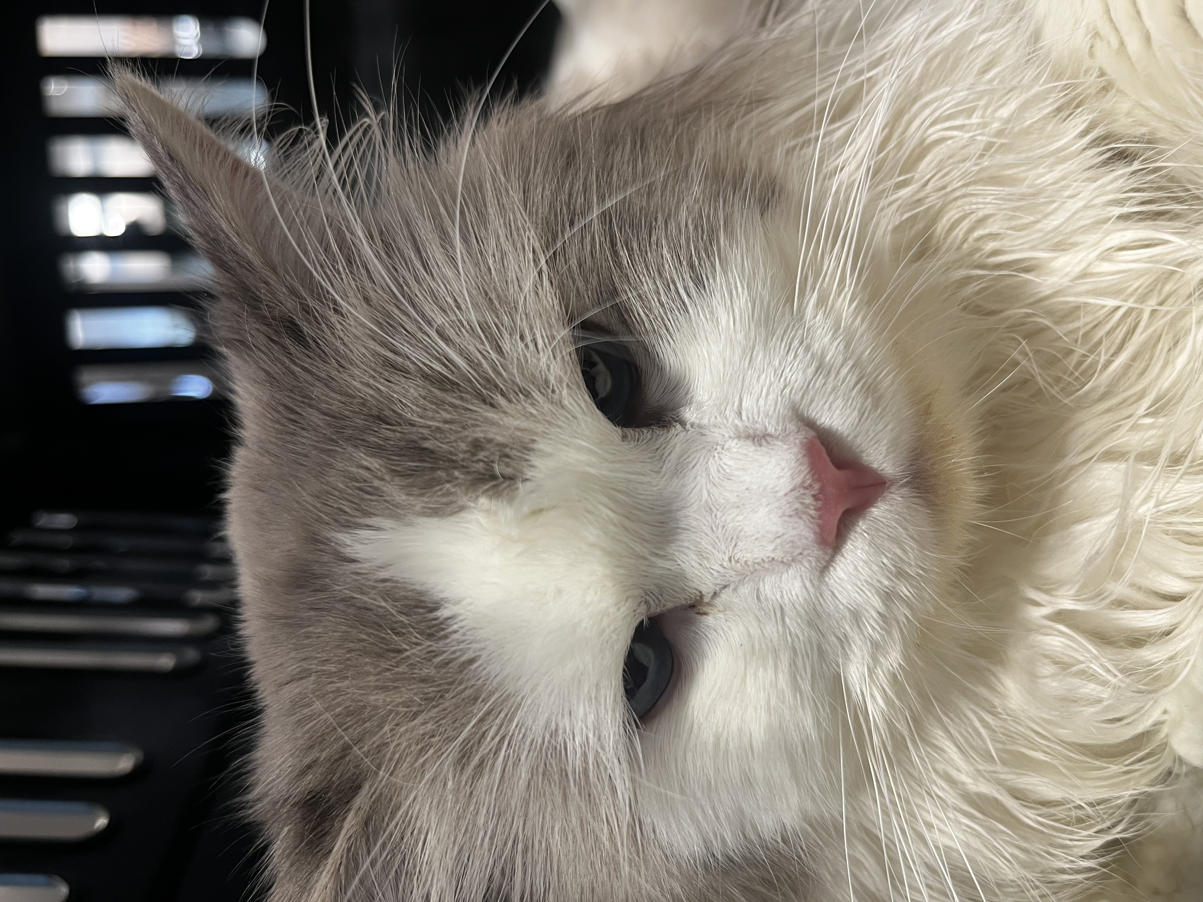 image-6