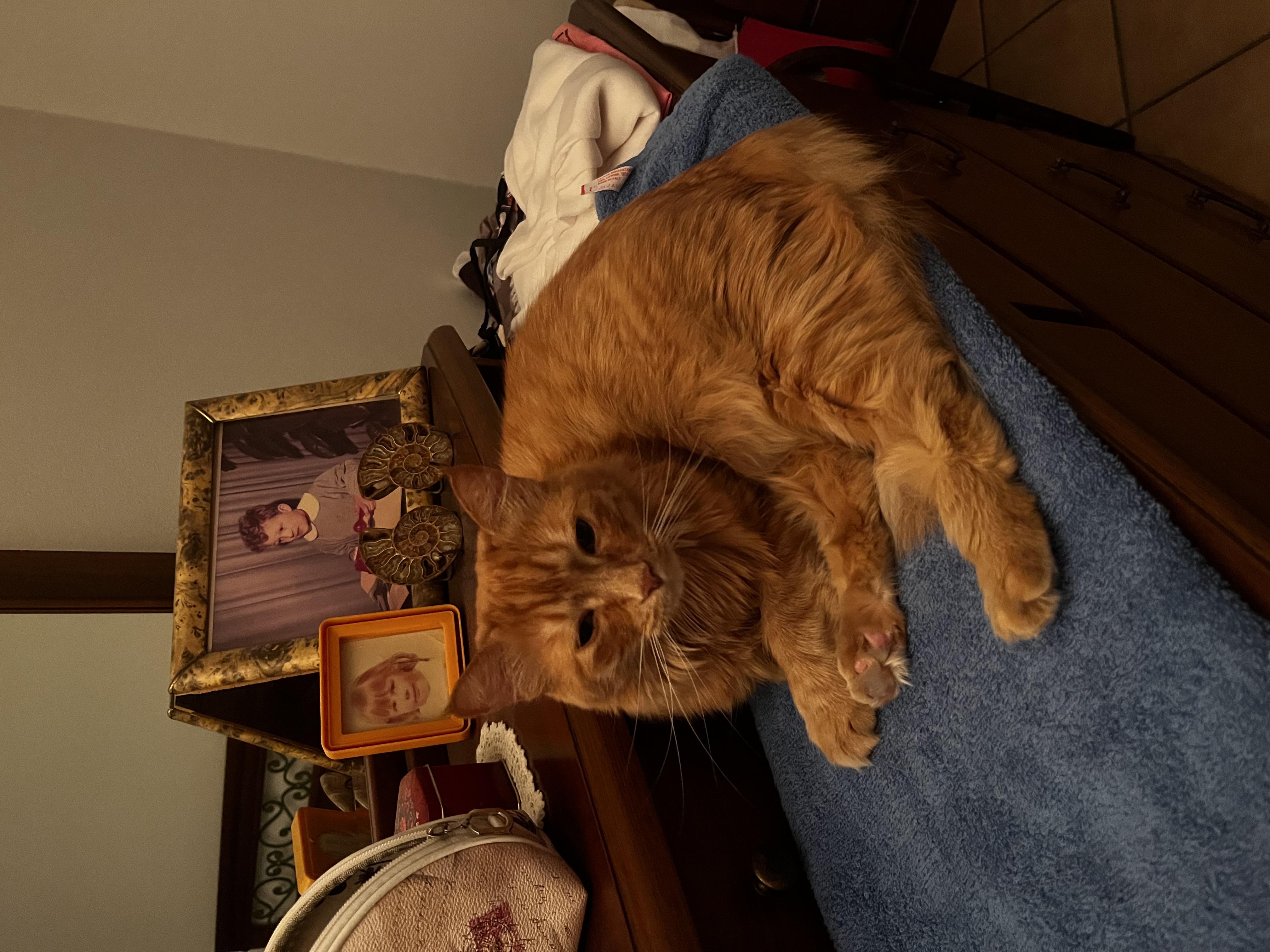 image-7