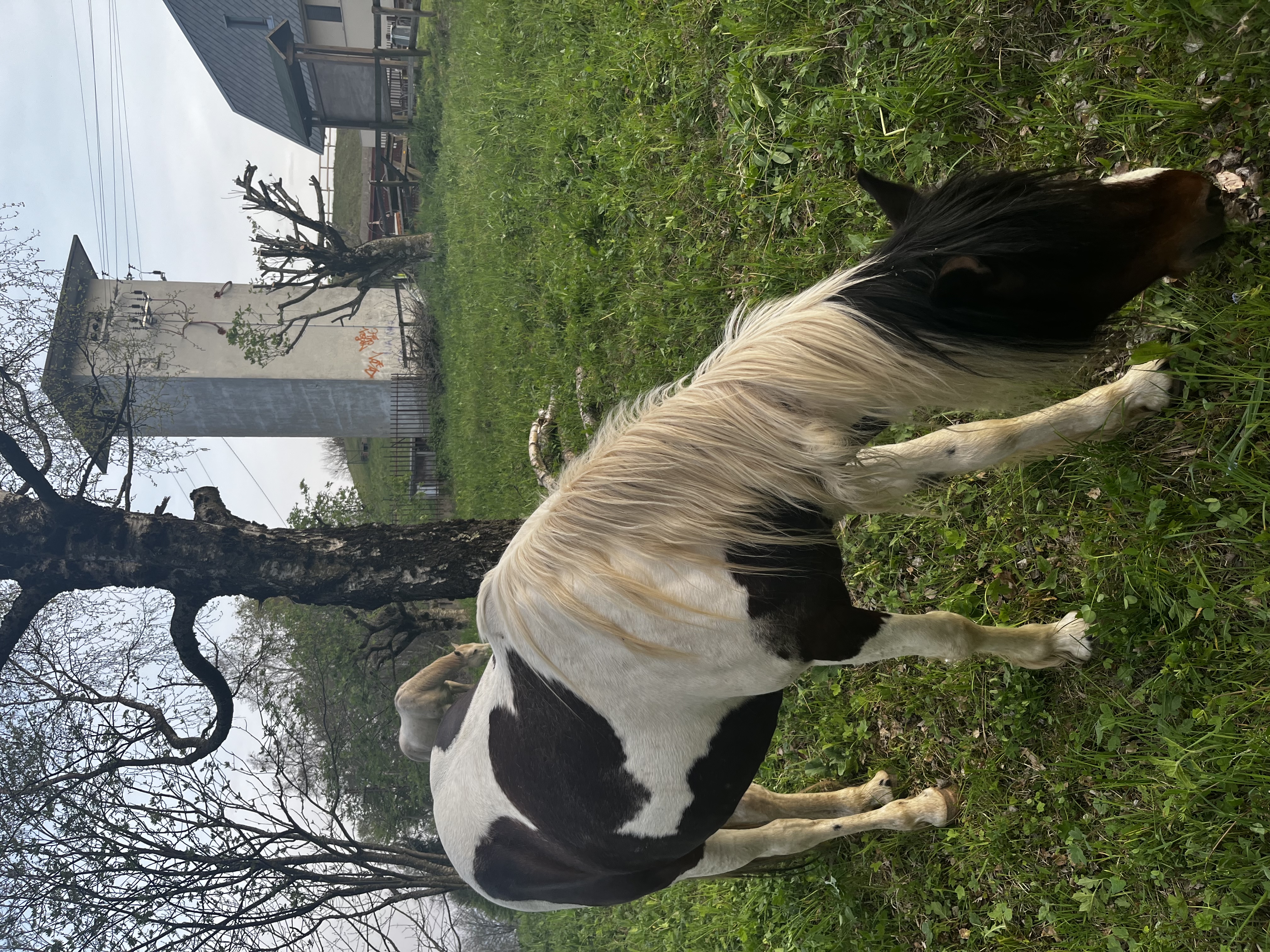 image-15