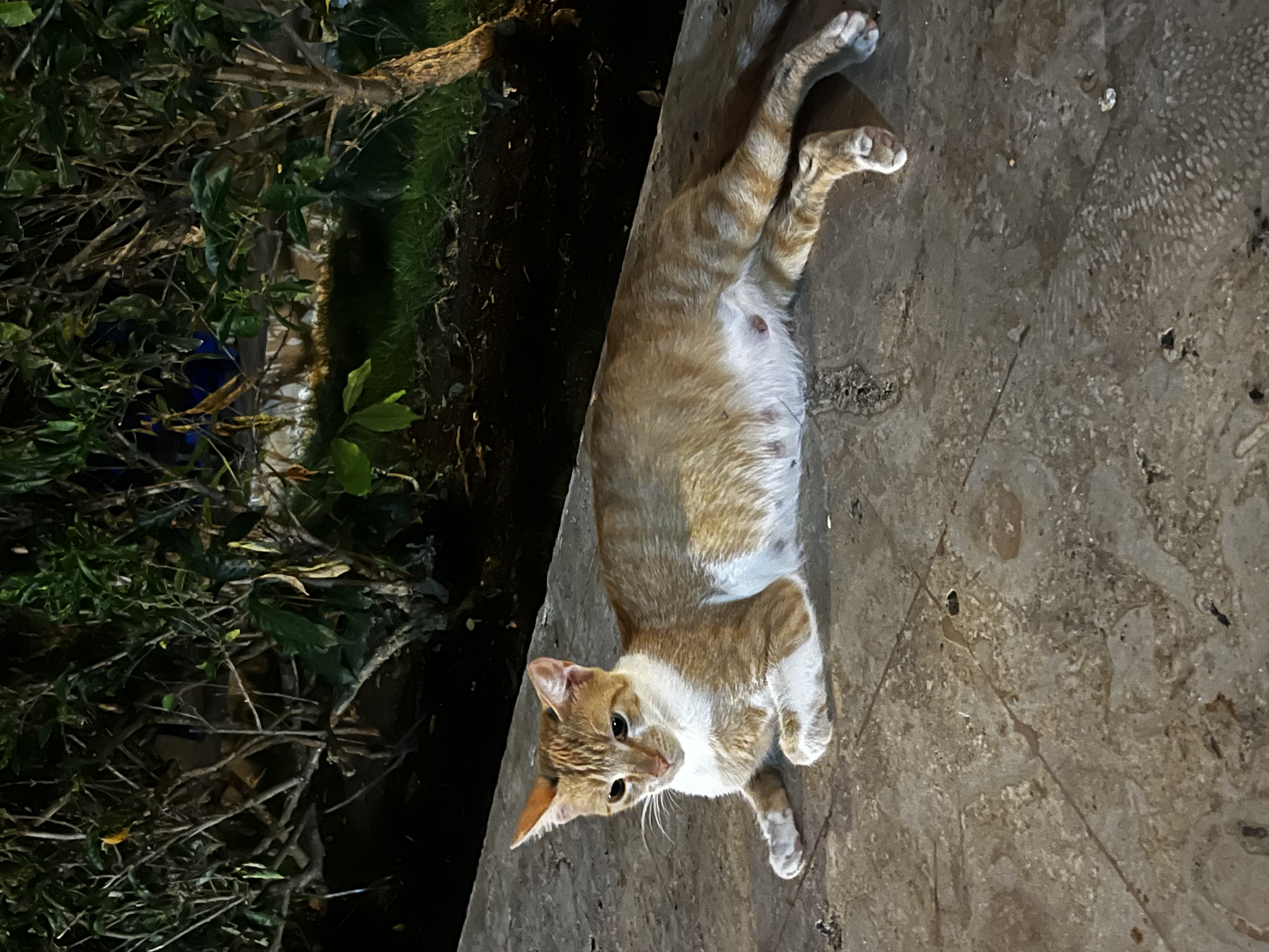 image-8