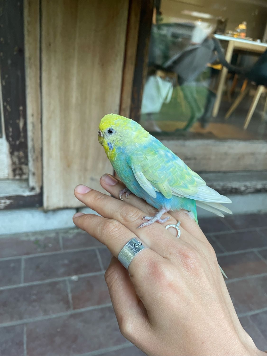 image-11