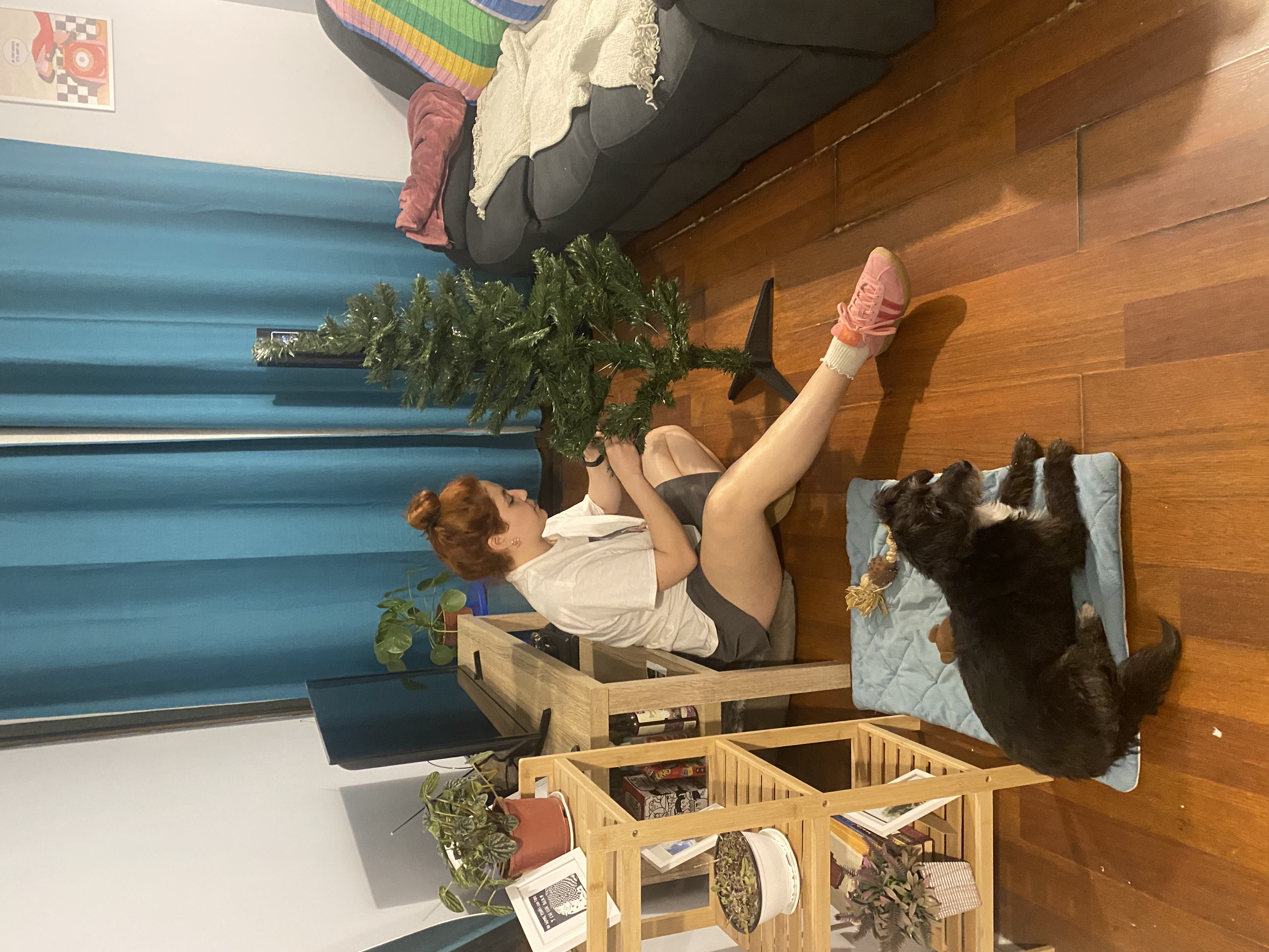 image-12