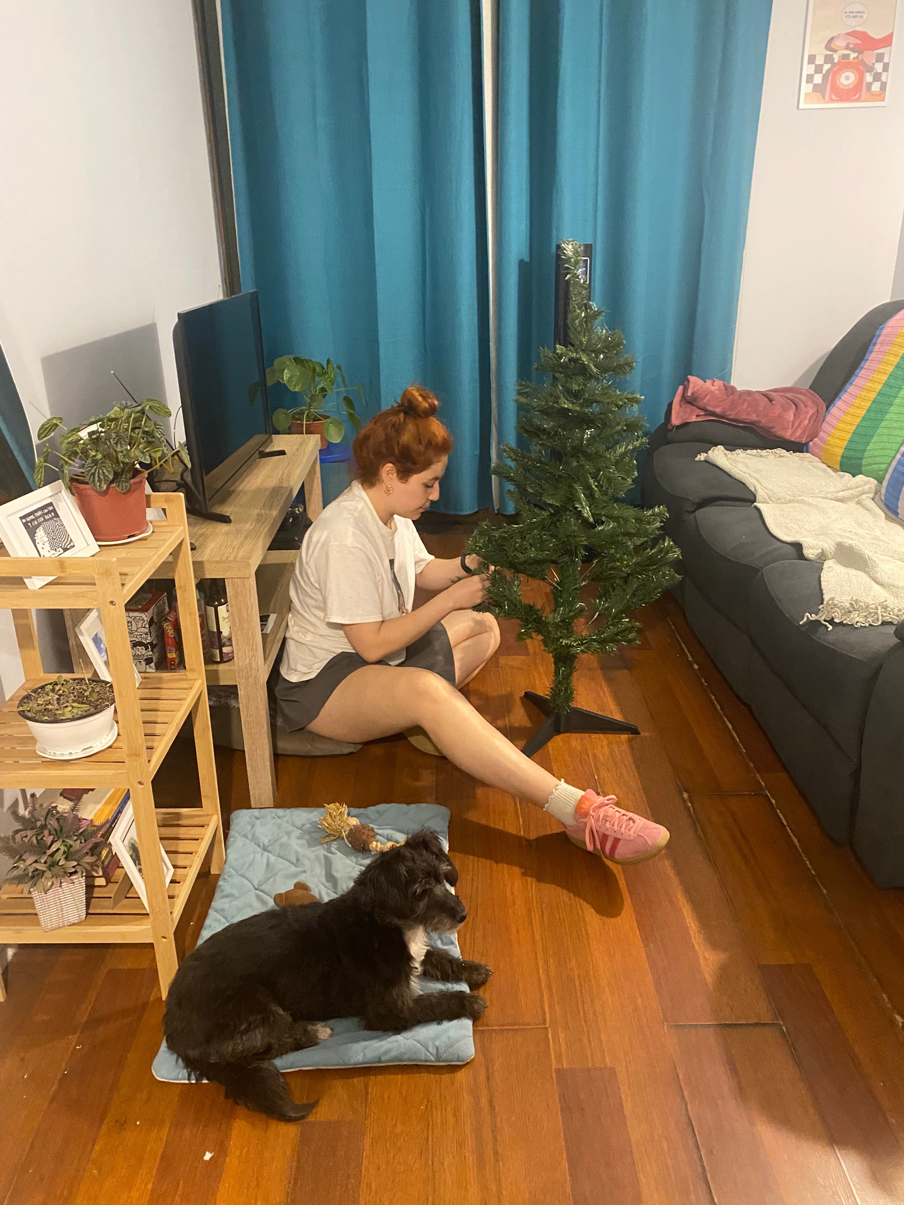 image-12