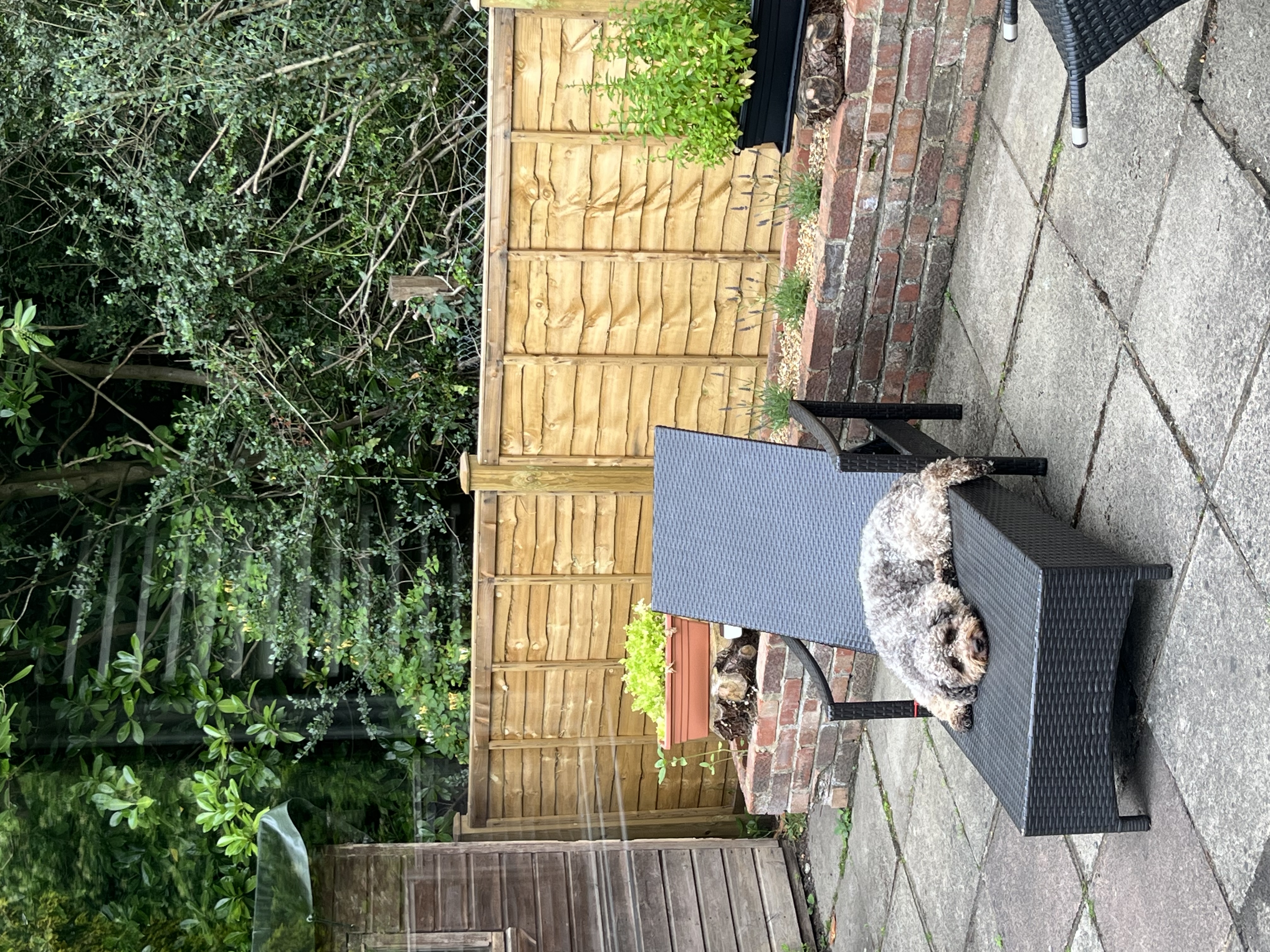 image-18