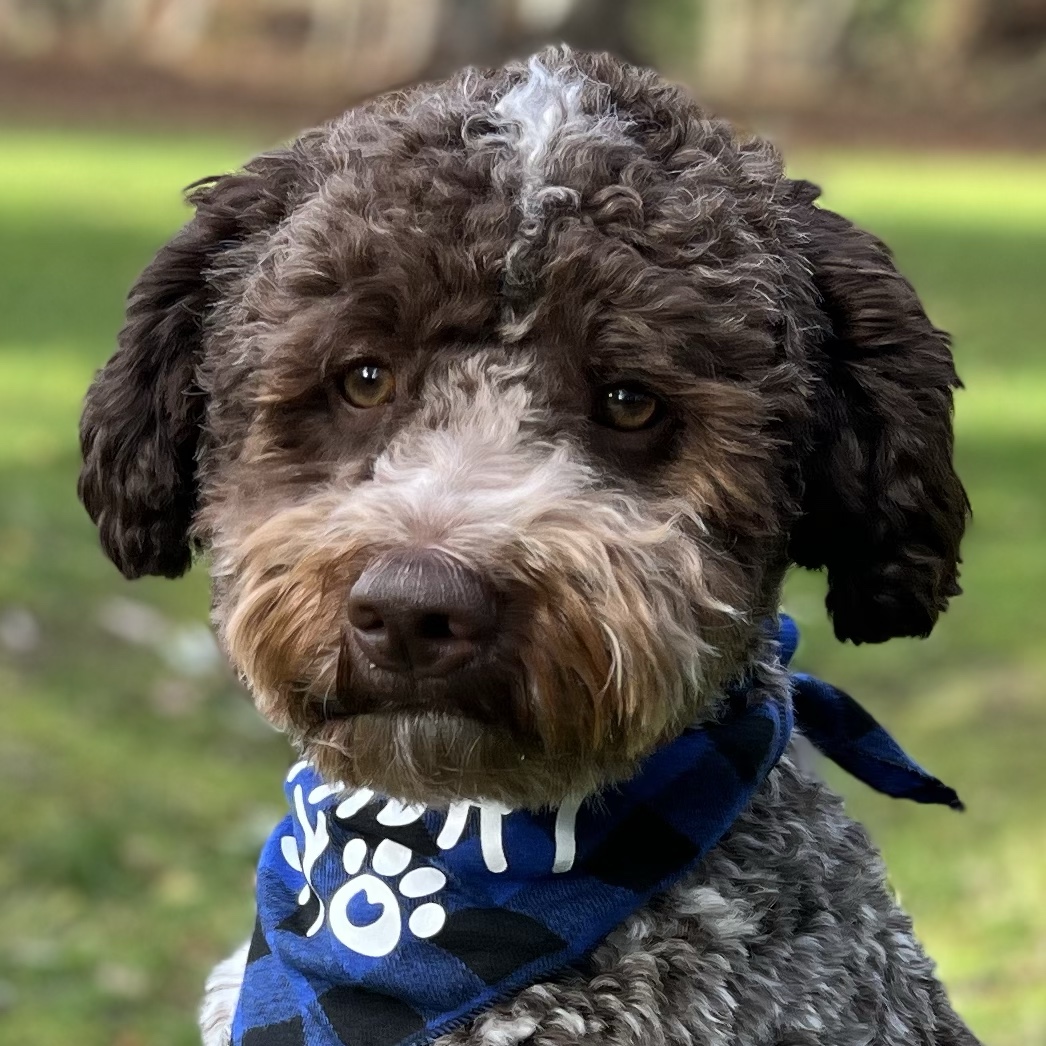 Benji