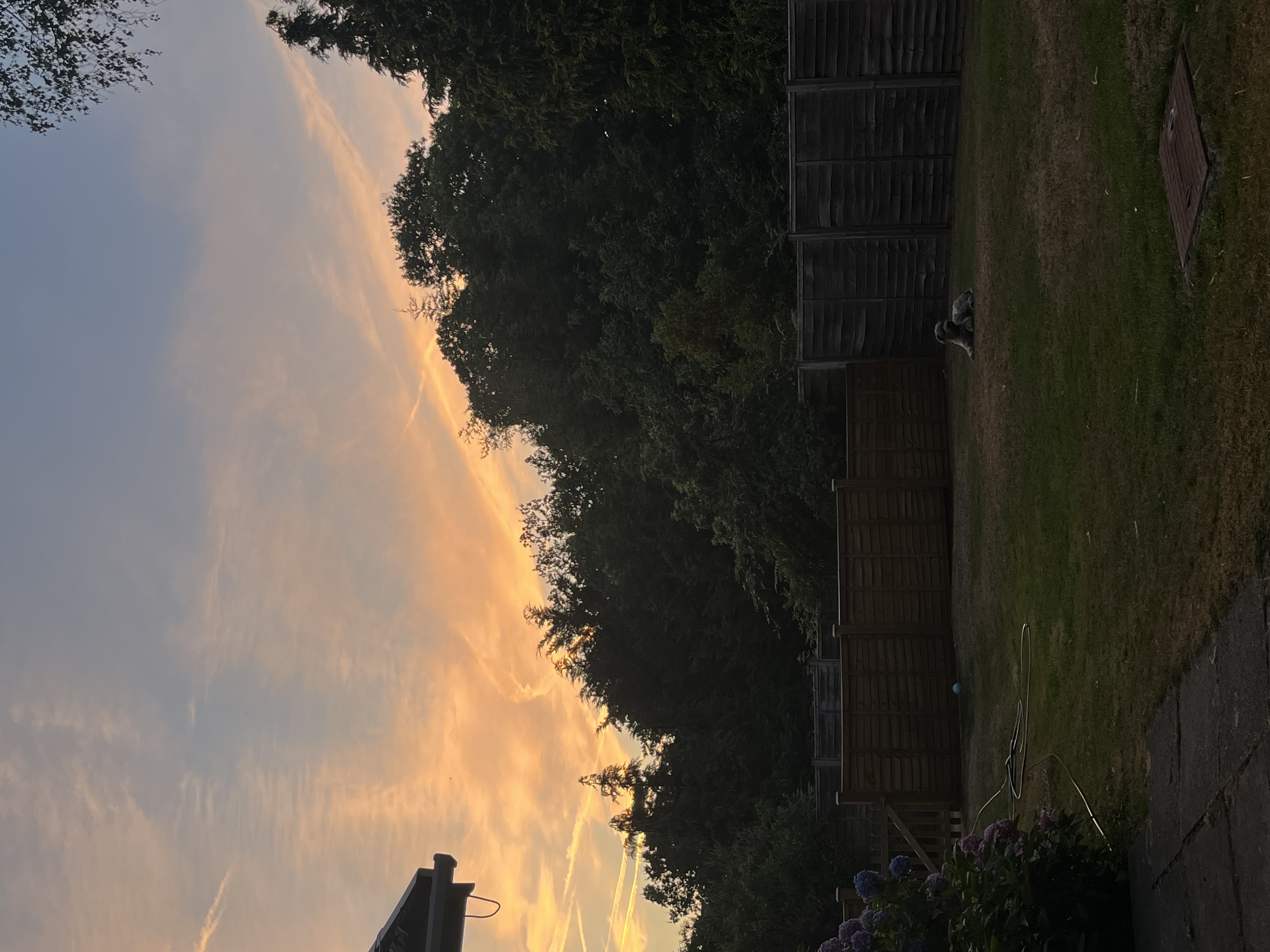 image-14