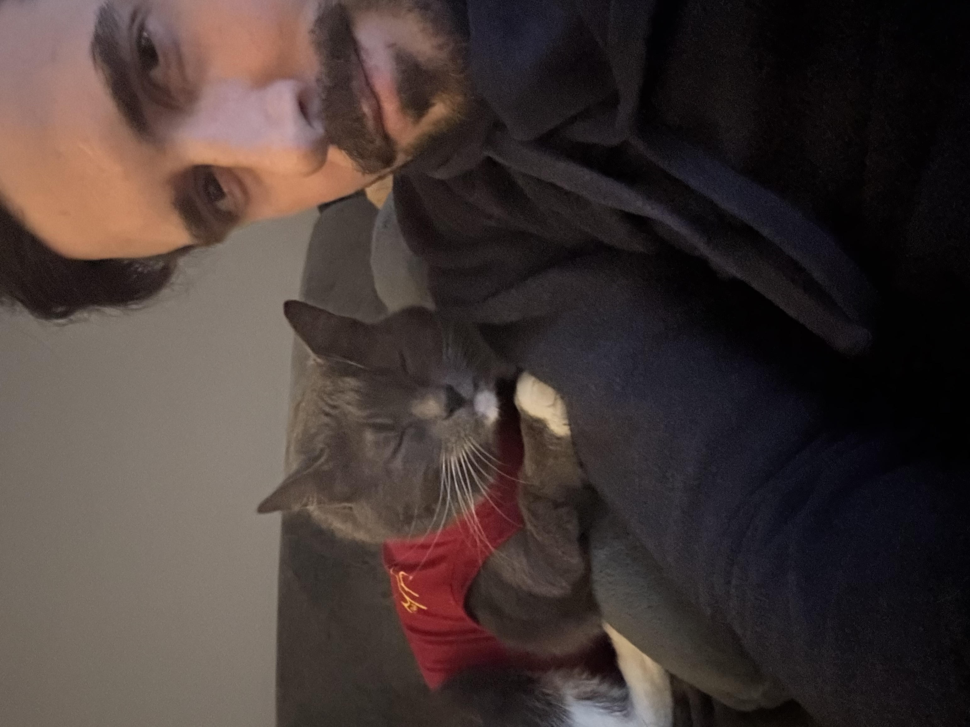 image-6
