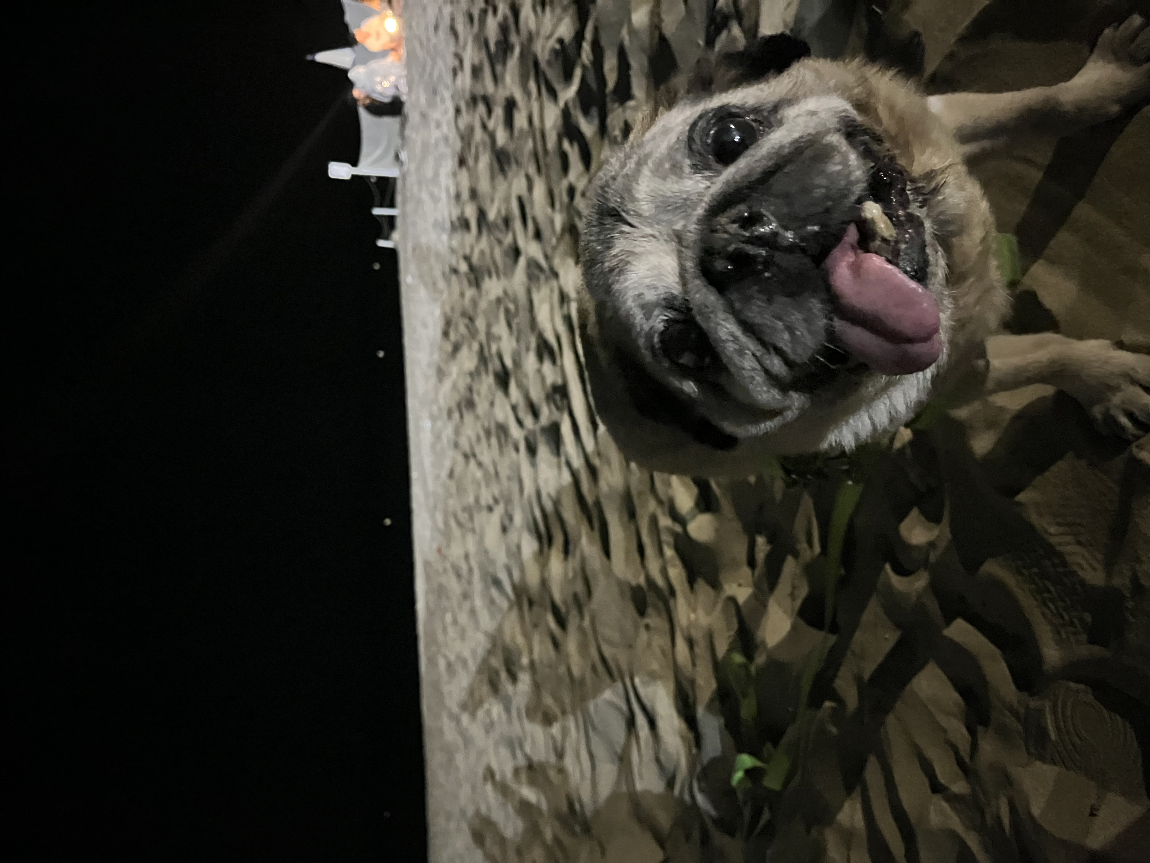 image-8