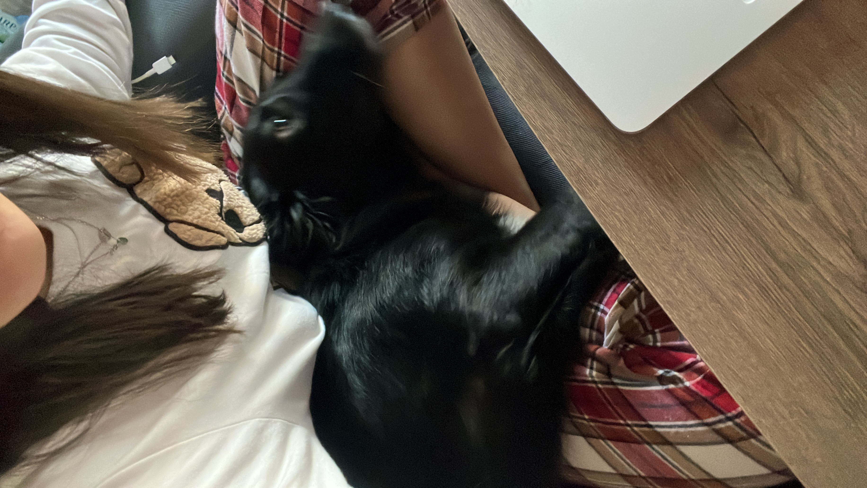 image-6