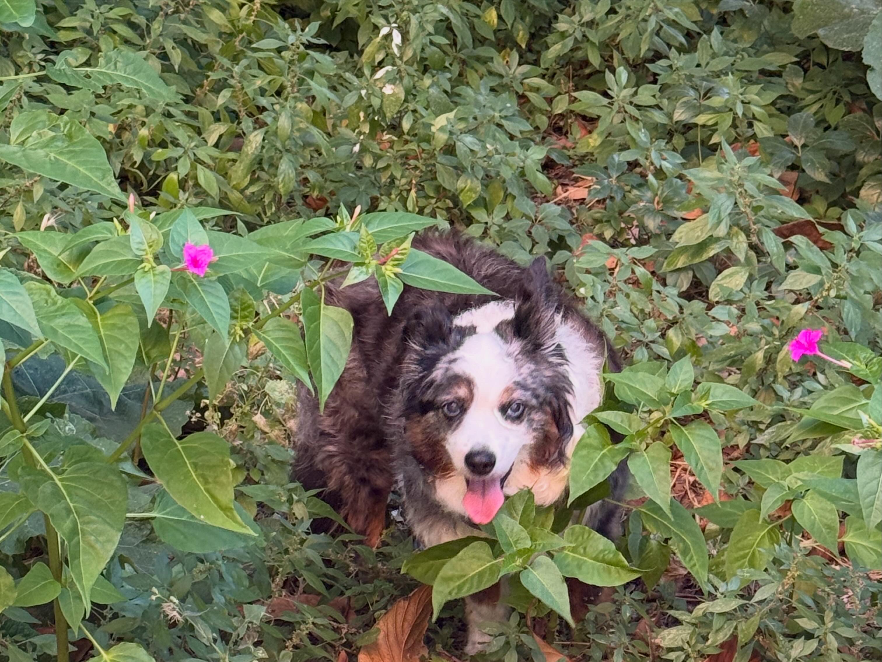 image-8