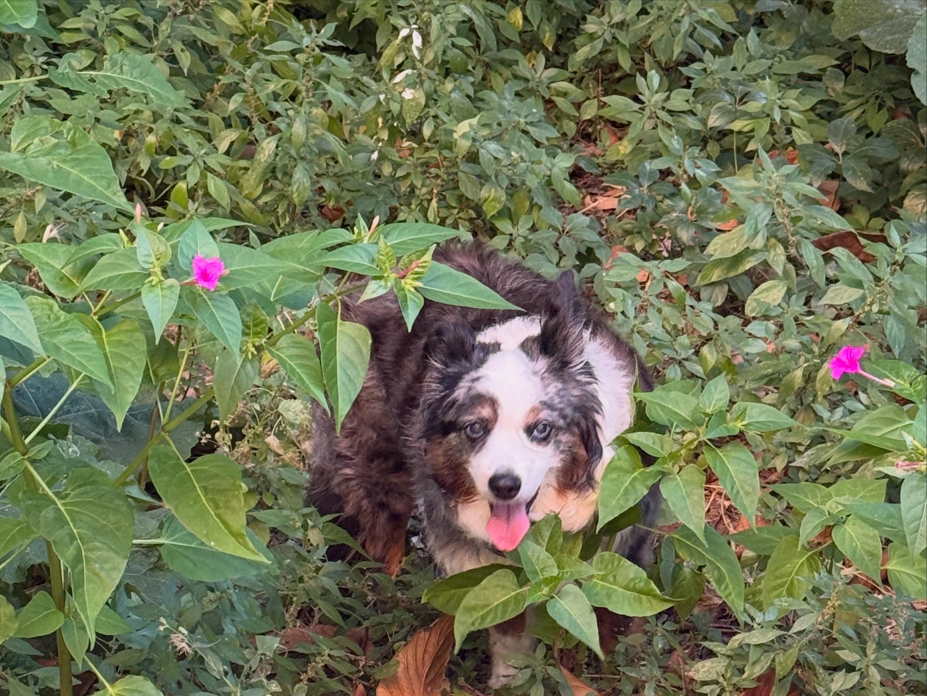 image-8
