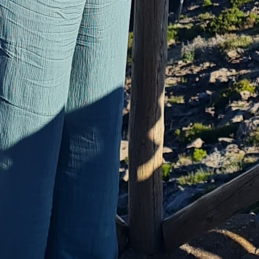 Sandra