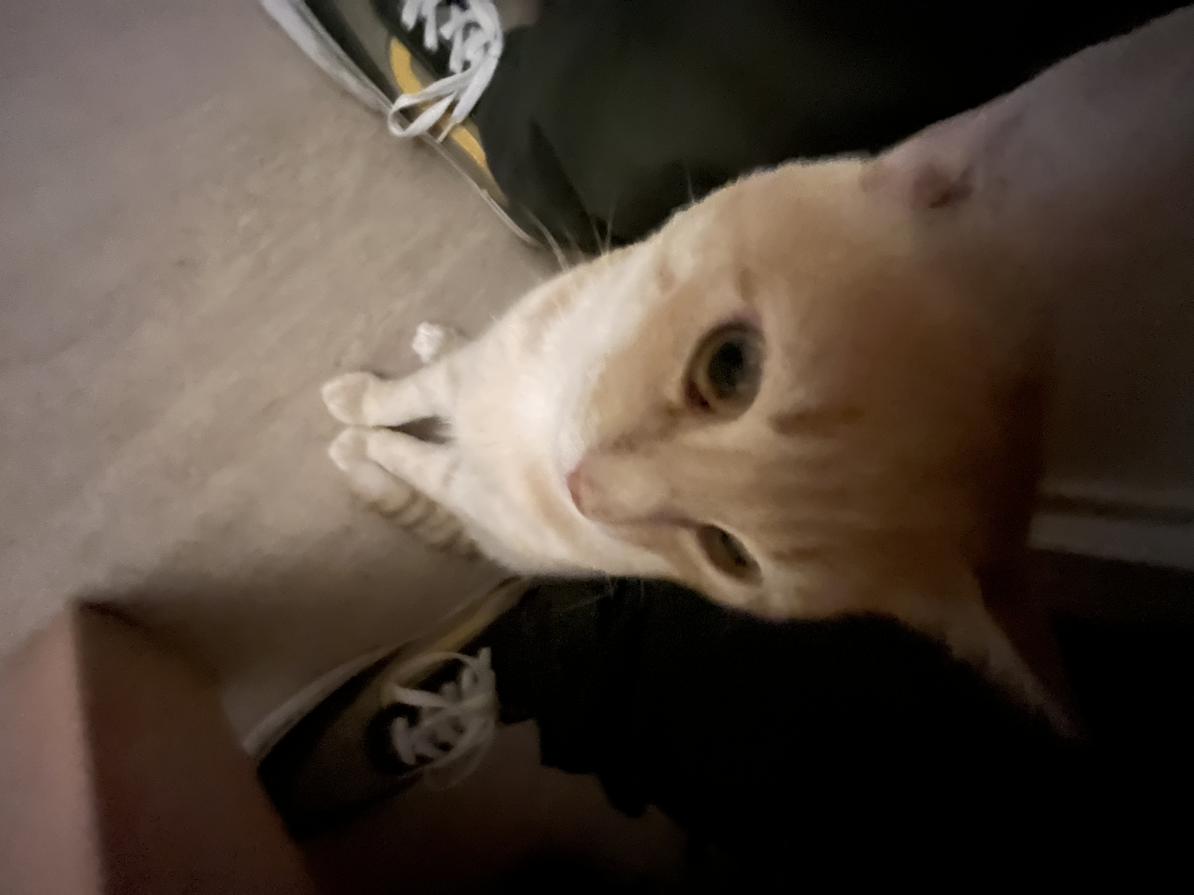 image-7