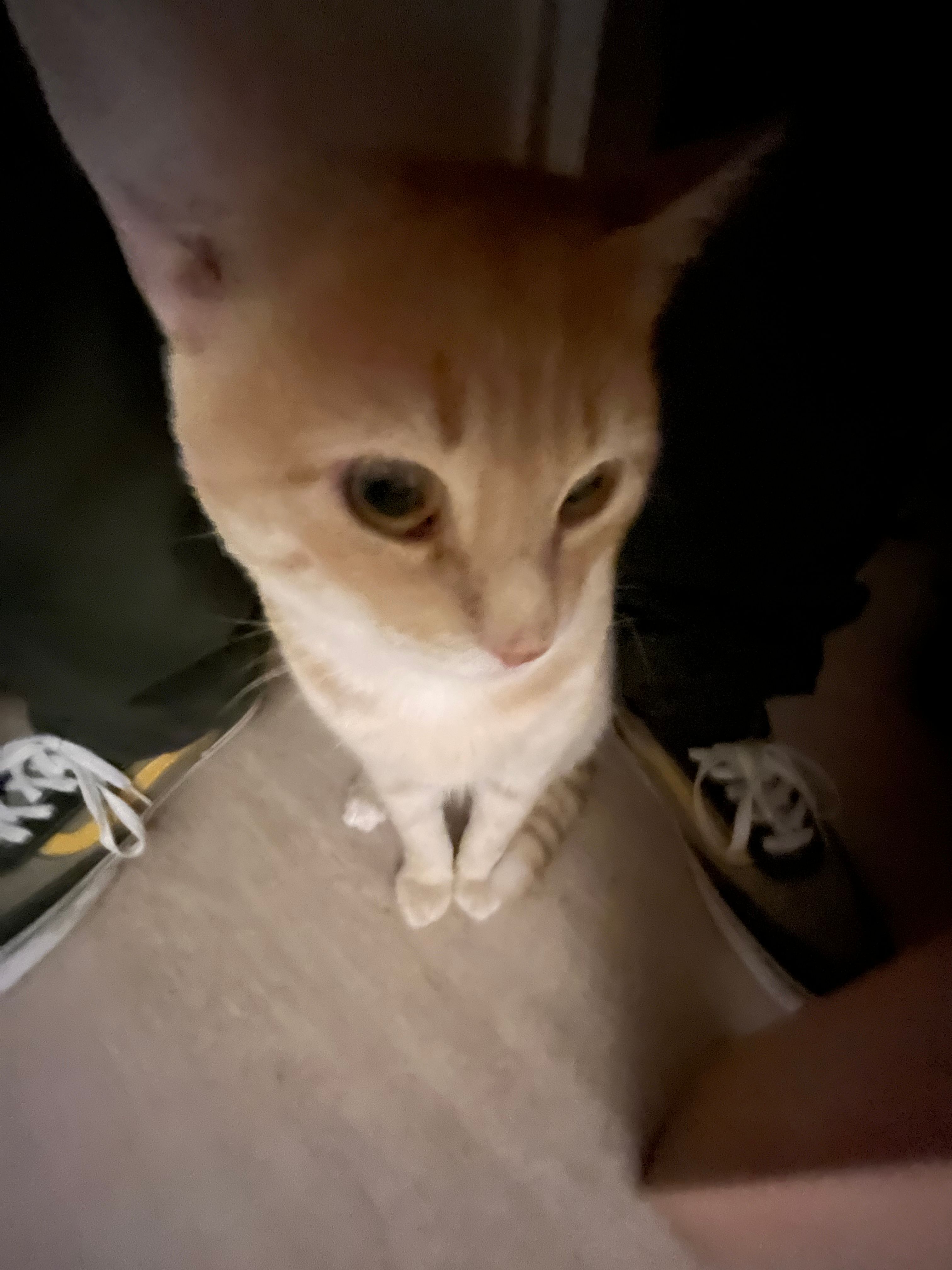 image-7