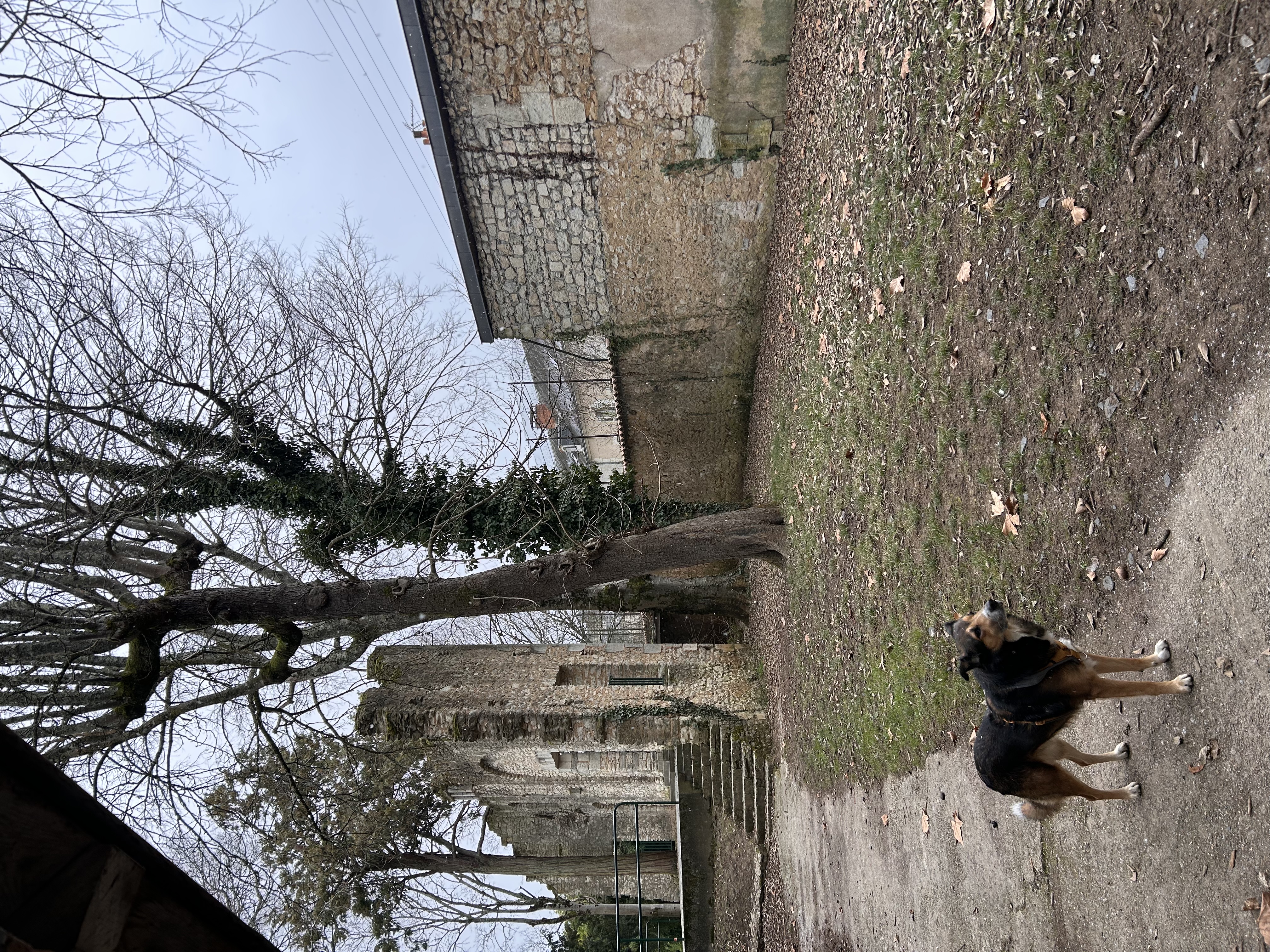 image-5