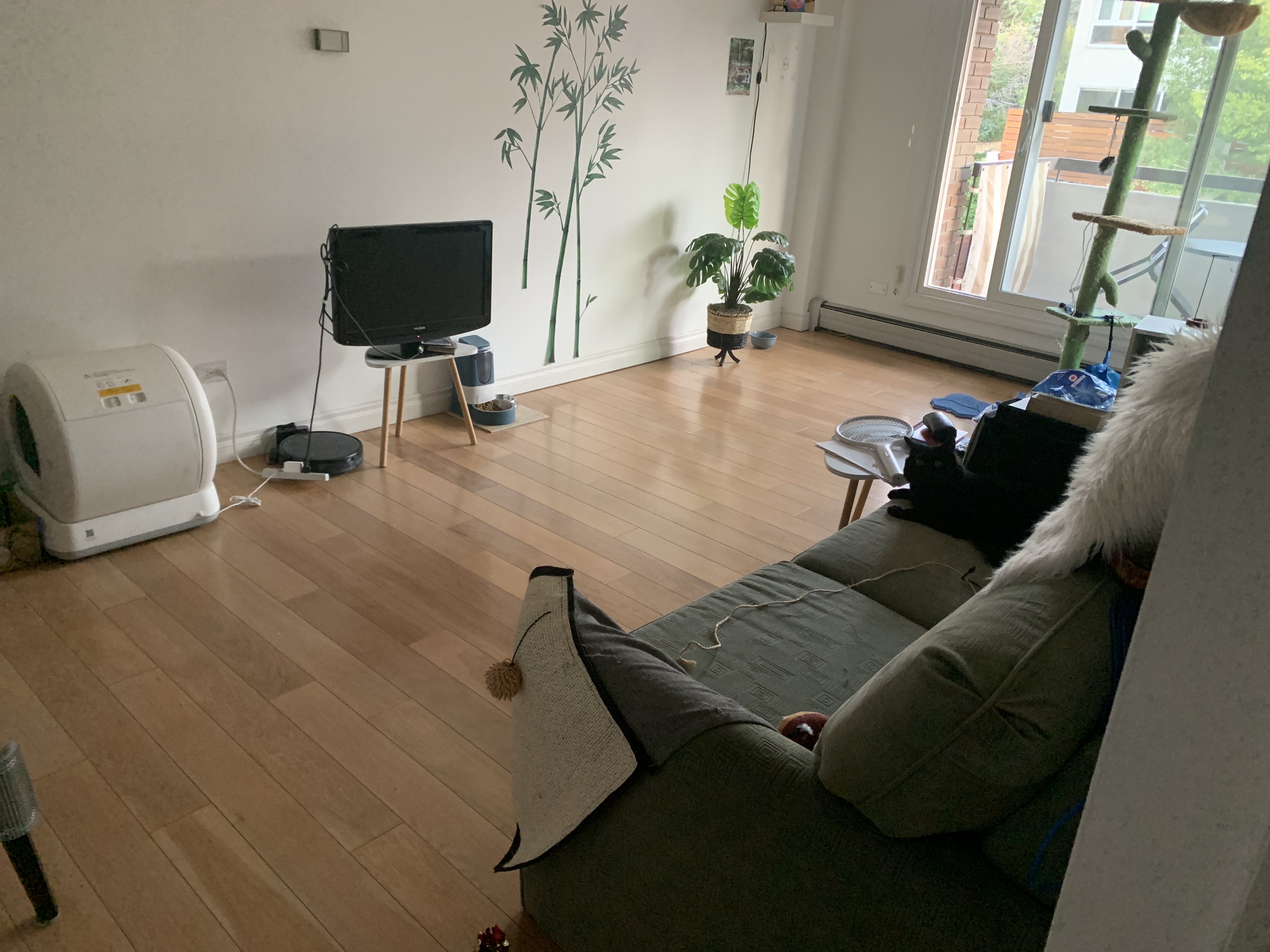 image-9