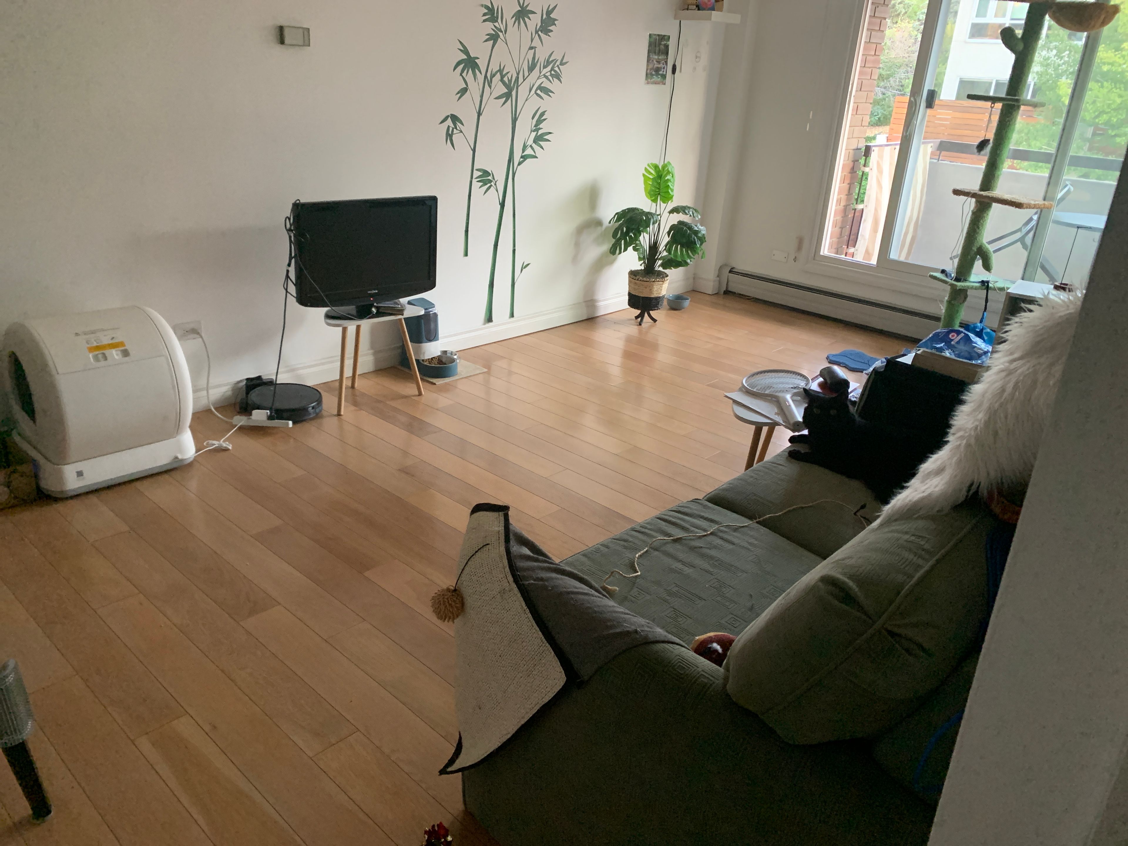 image-9