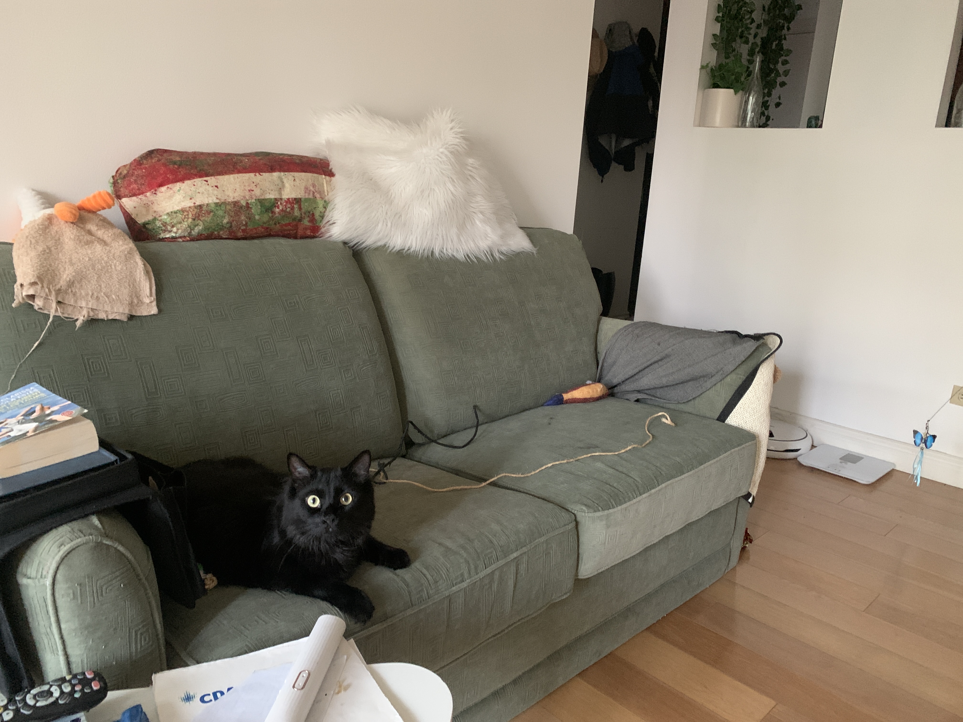 image-11
