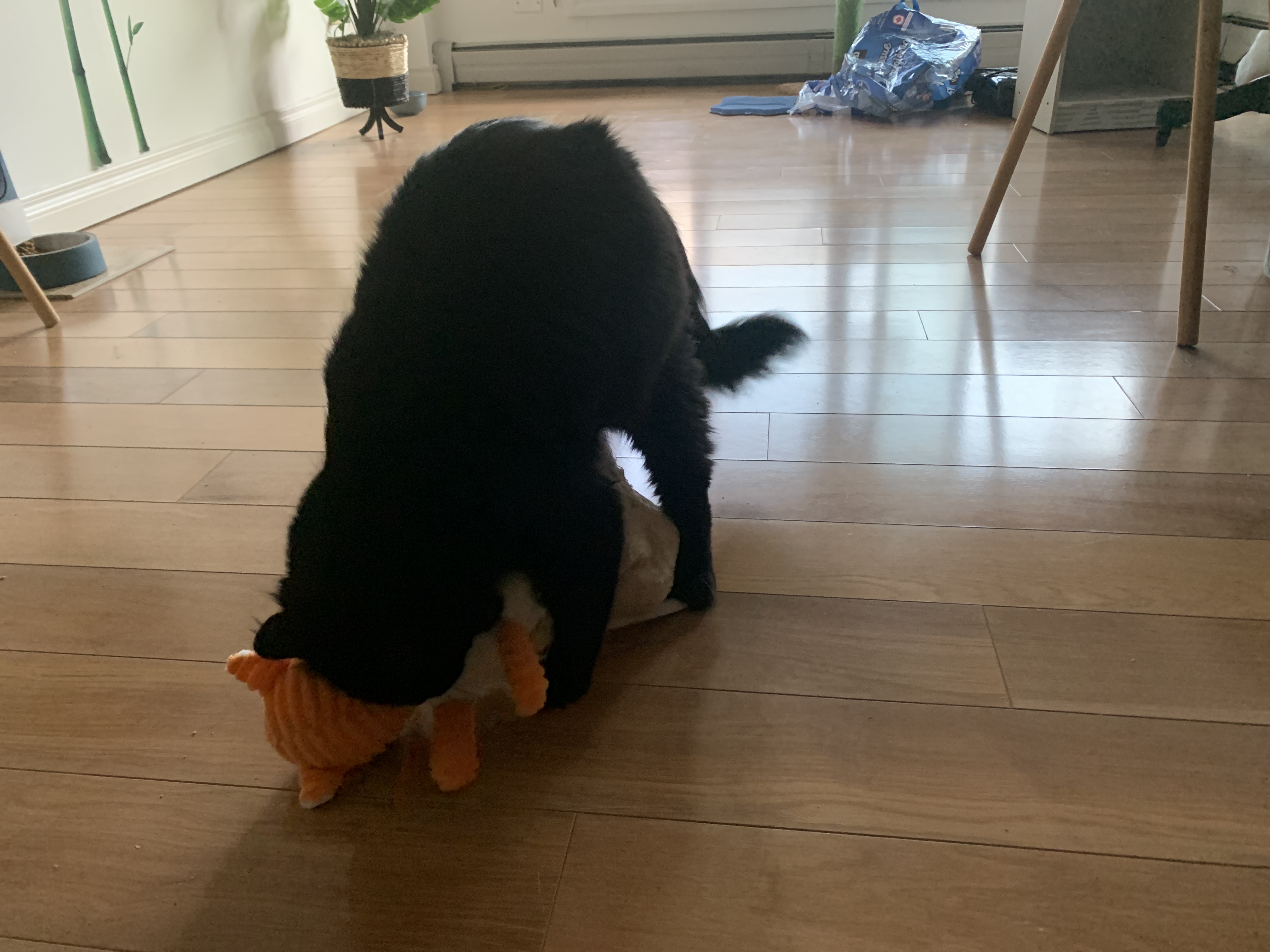image-12