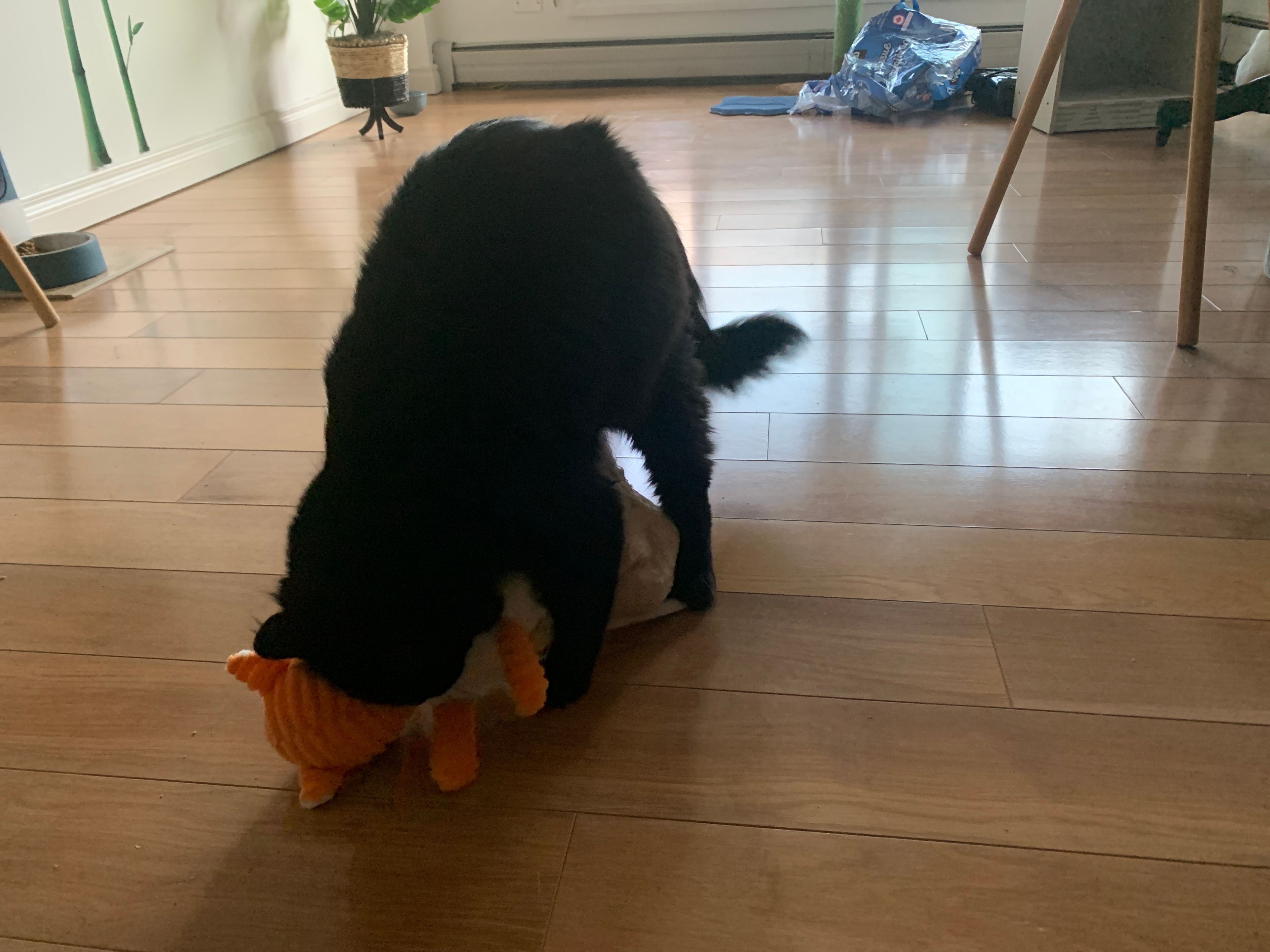 image-12