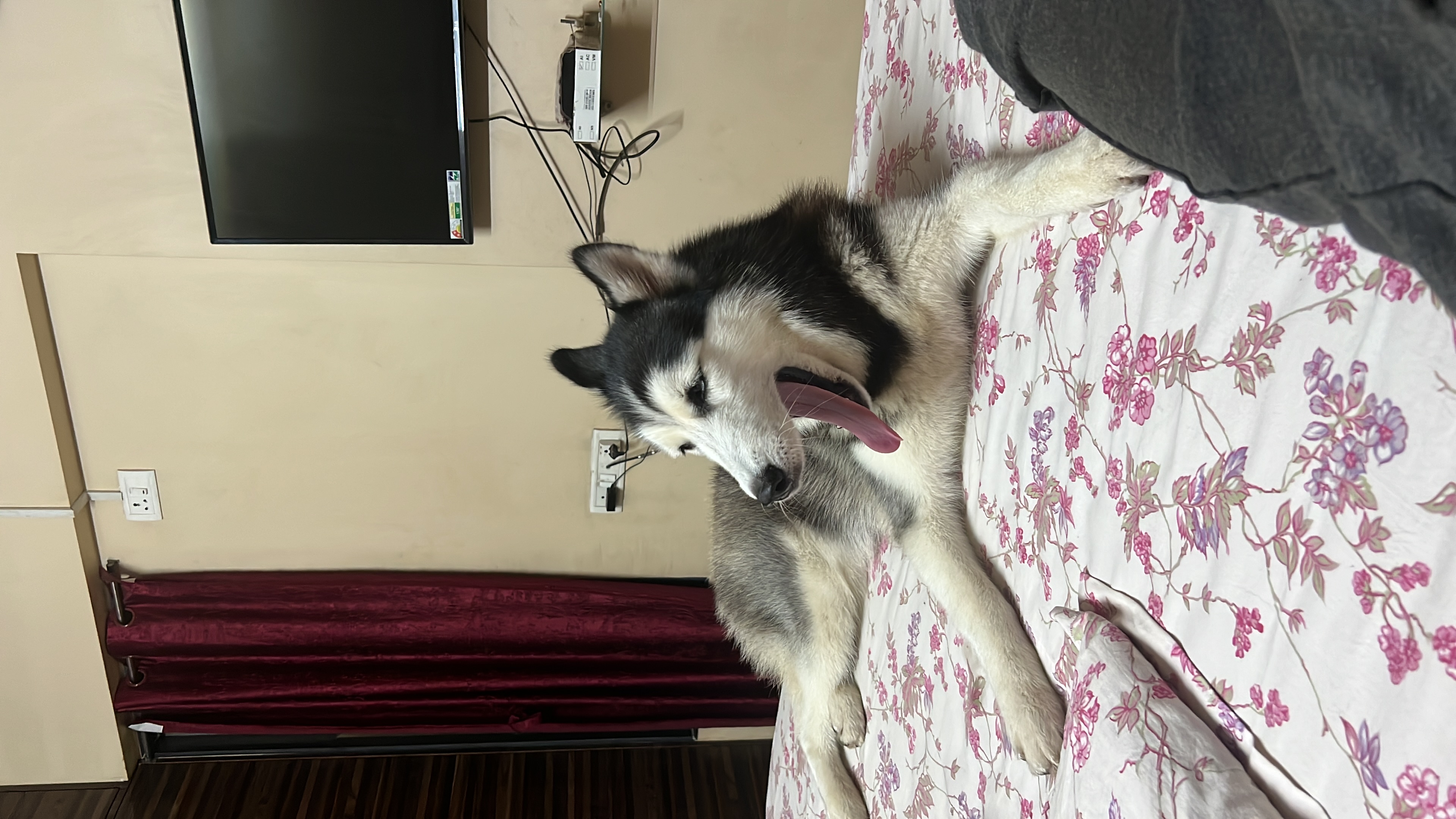 image-3