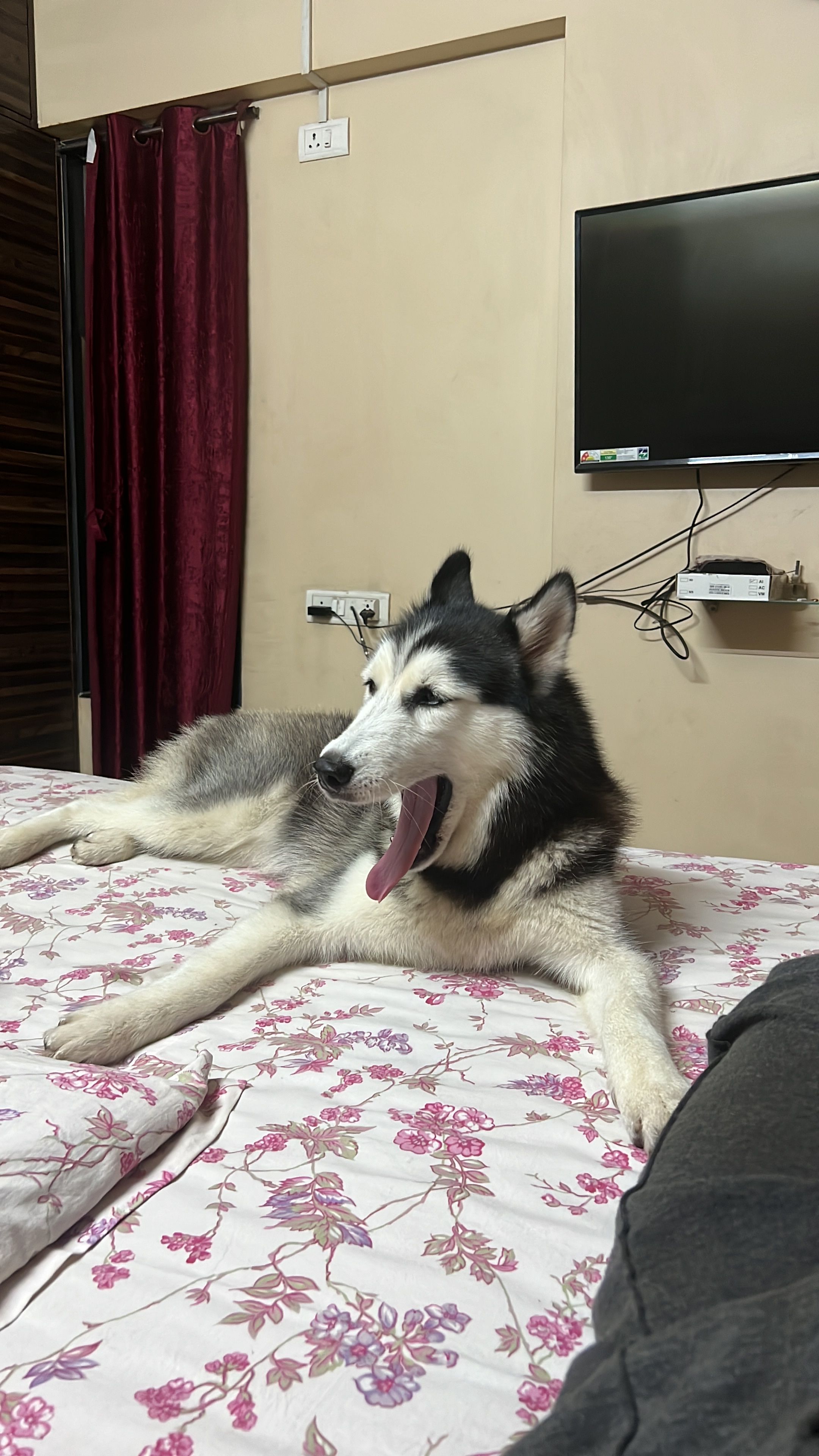 image-3