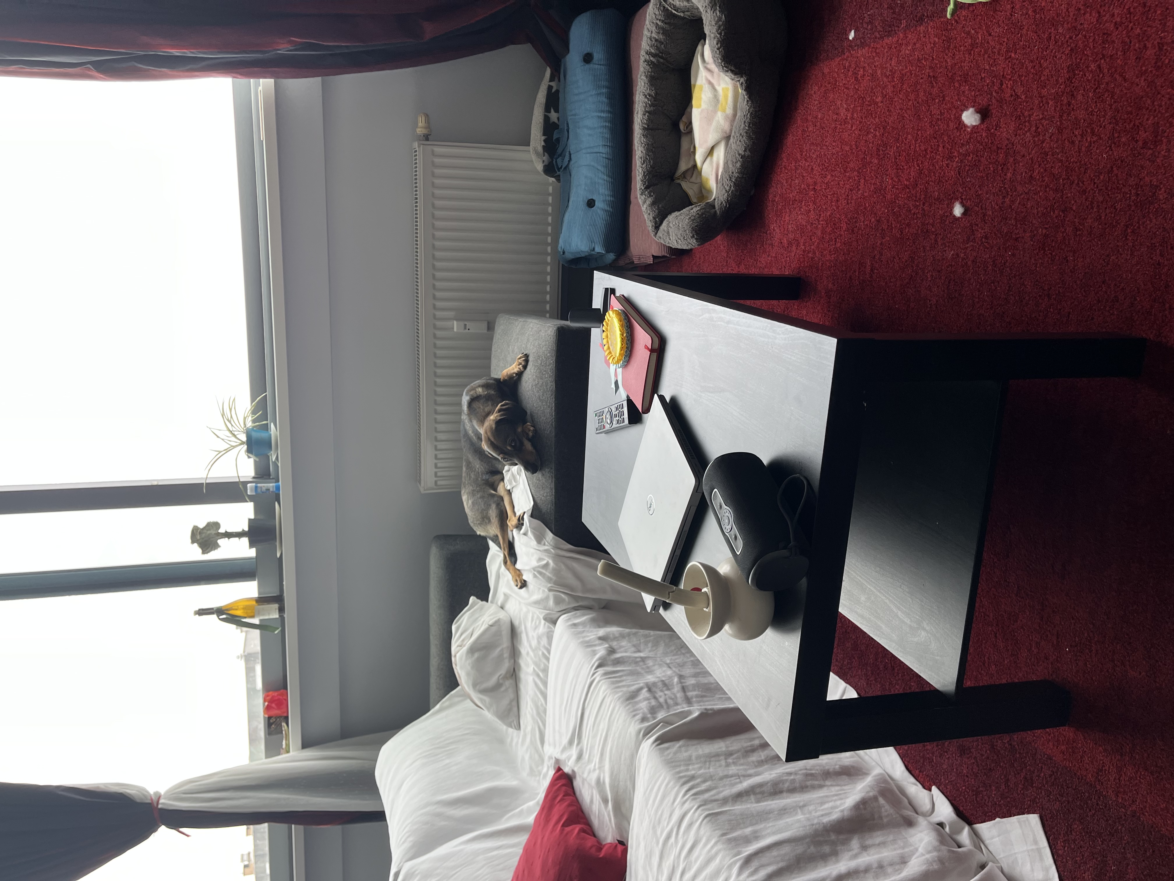 image-16