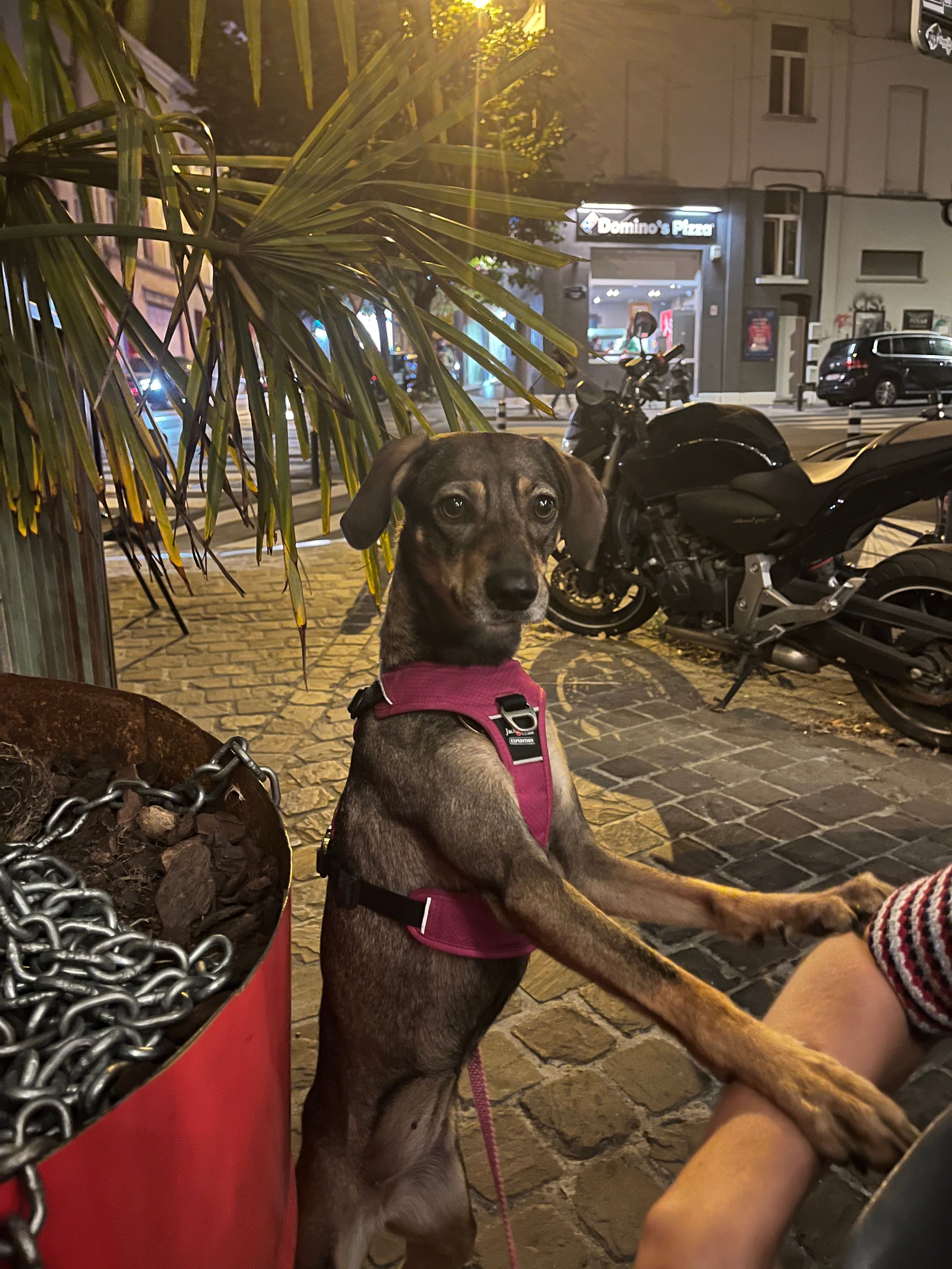 image-18