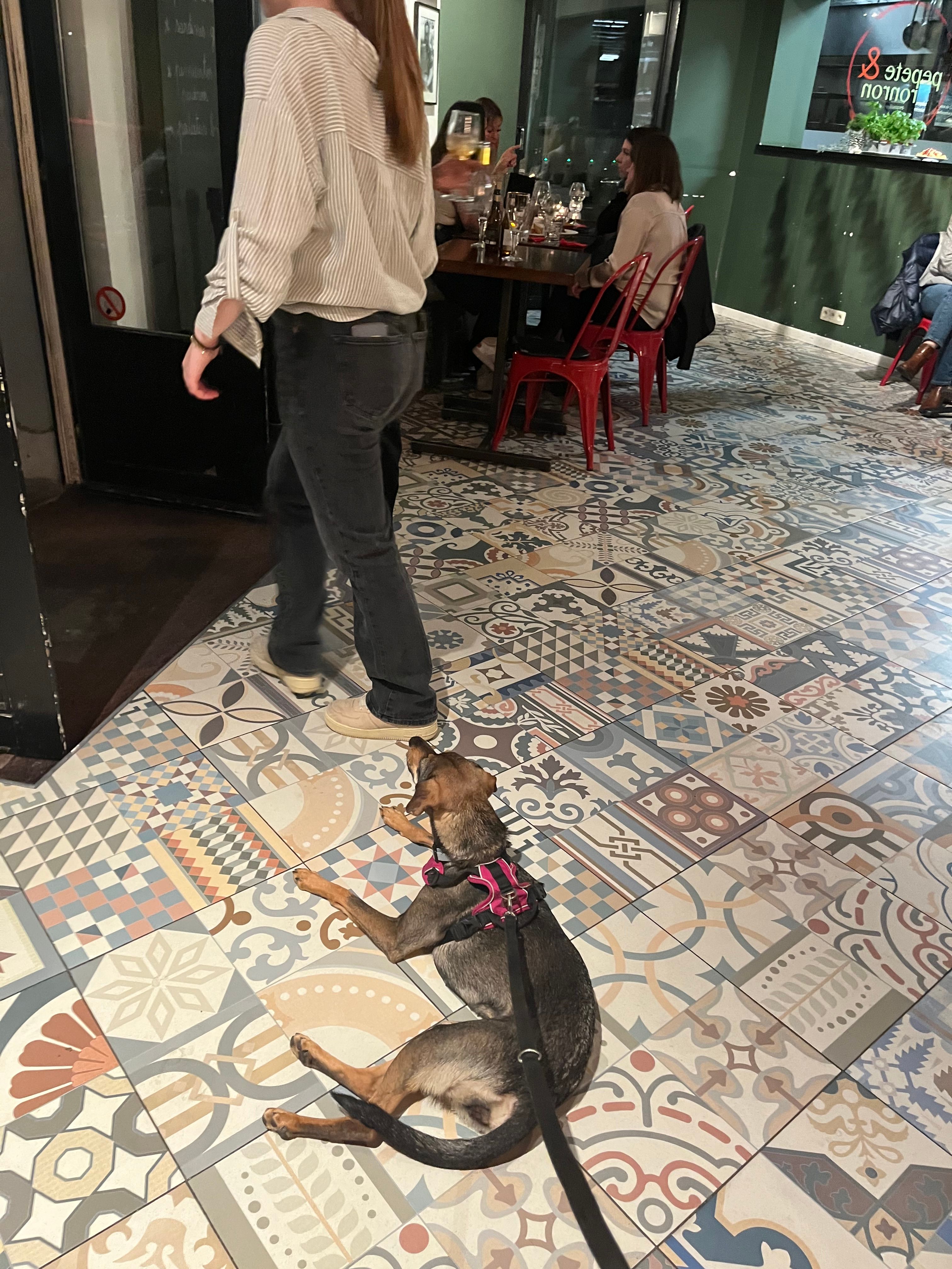 image-19