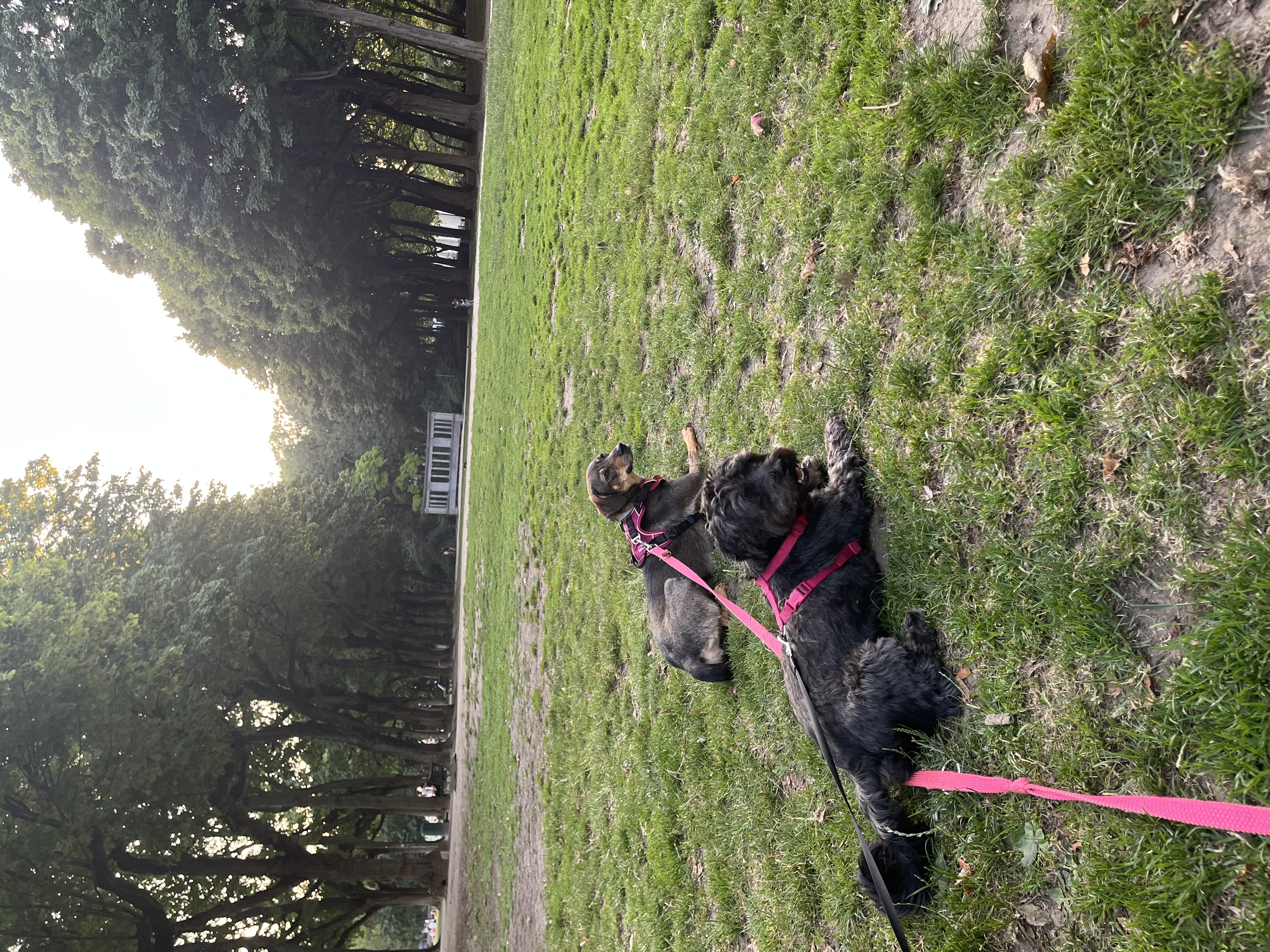 image-6