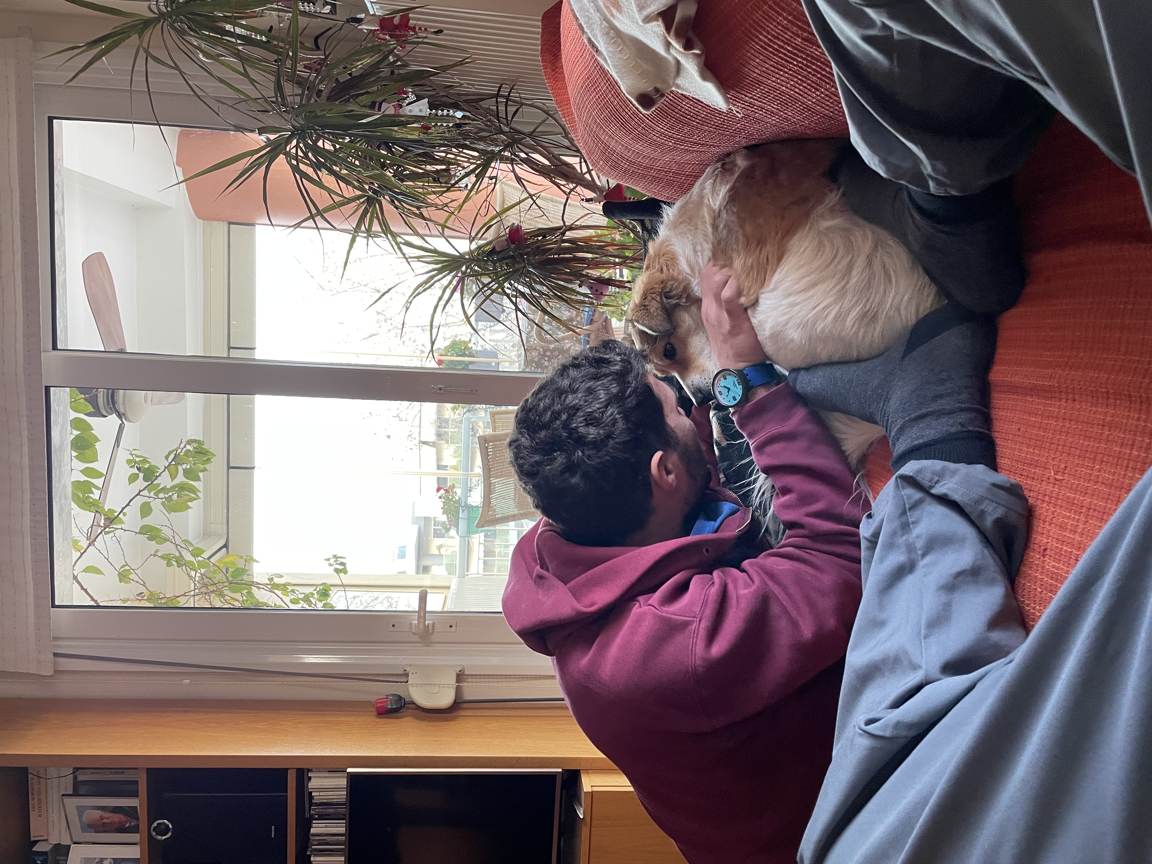 image-9