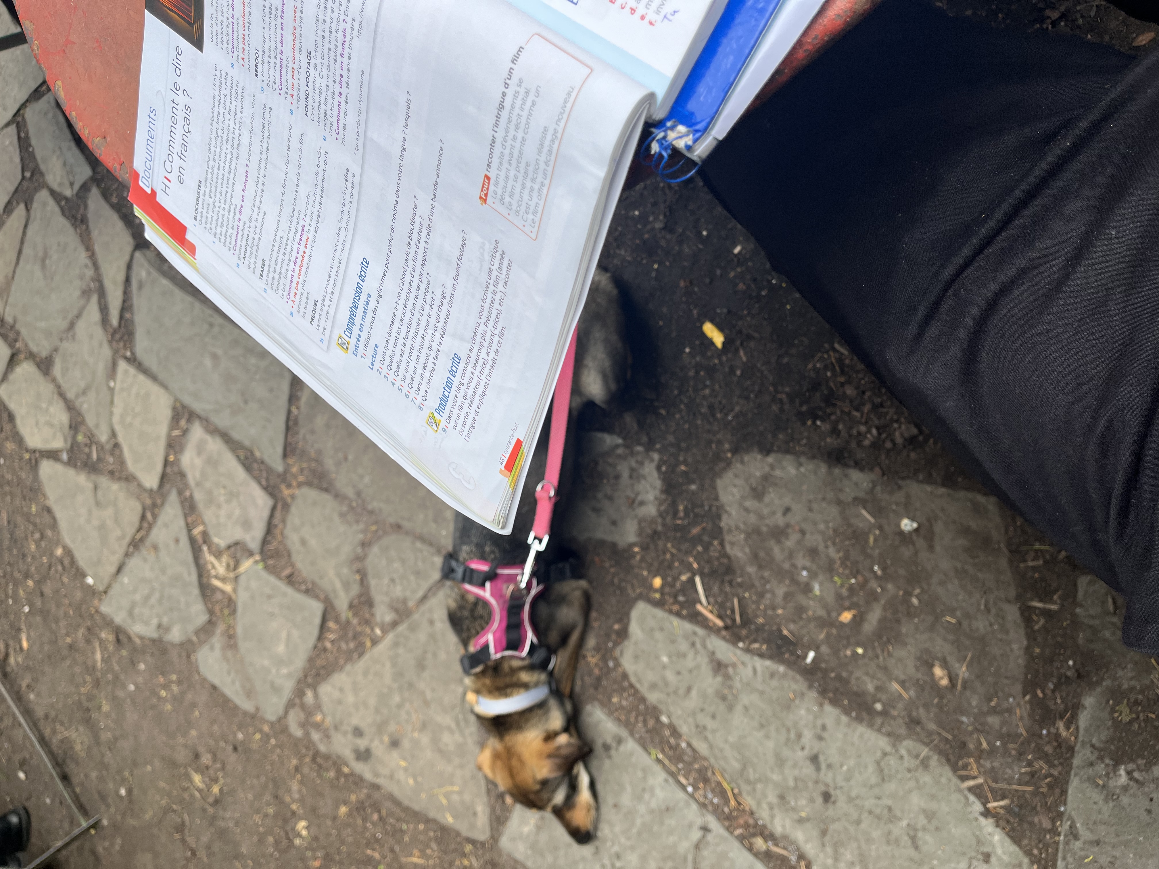 image-8
