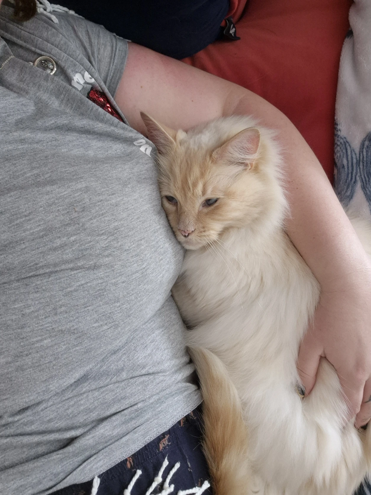 image-9