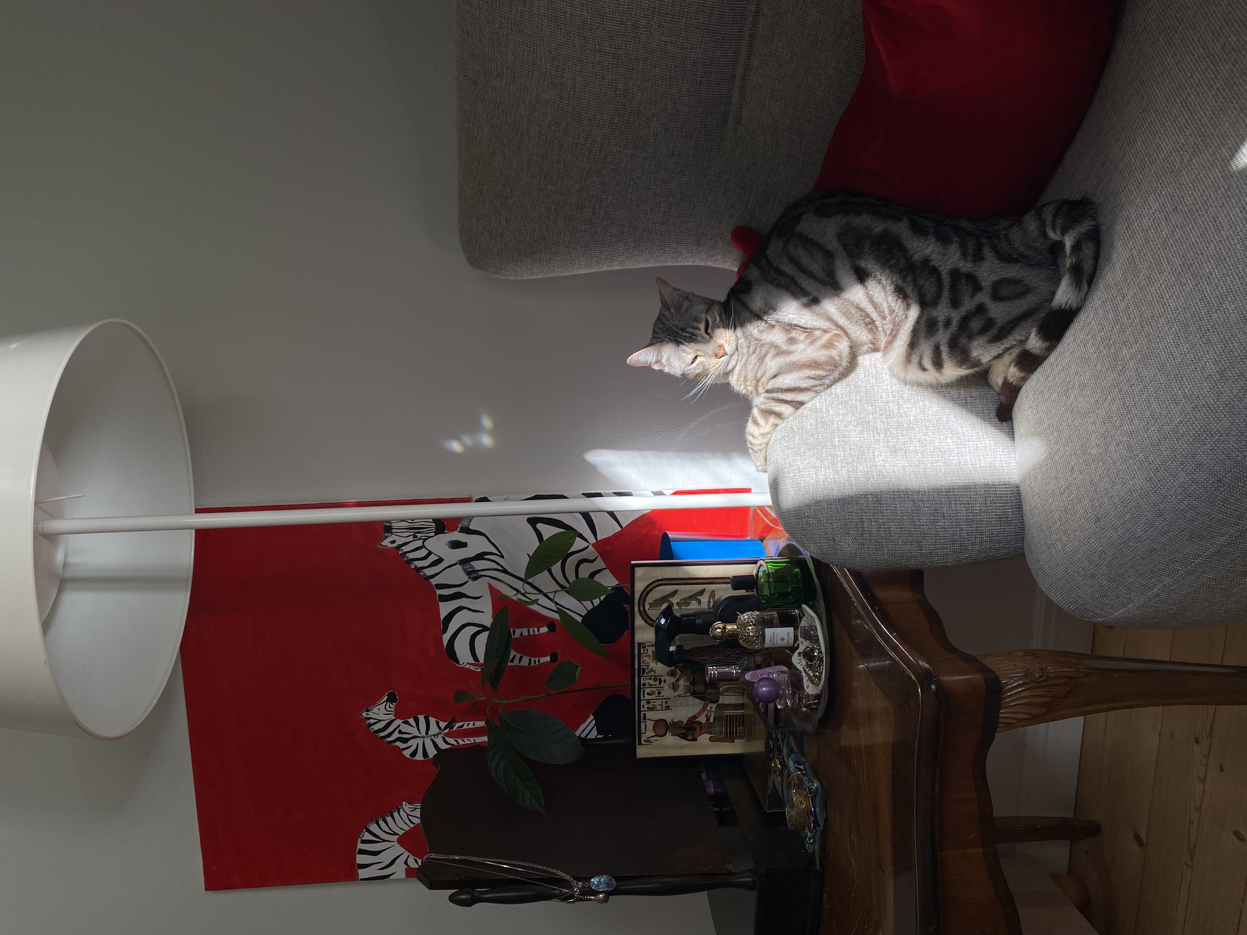 image-5