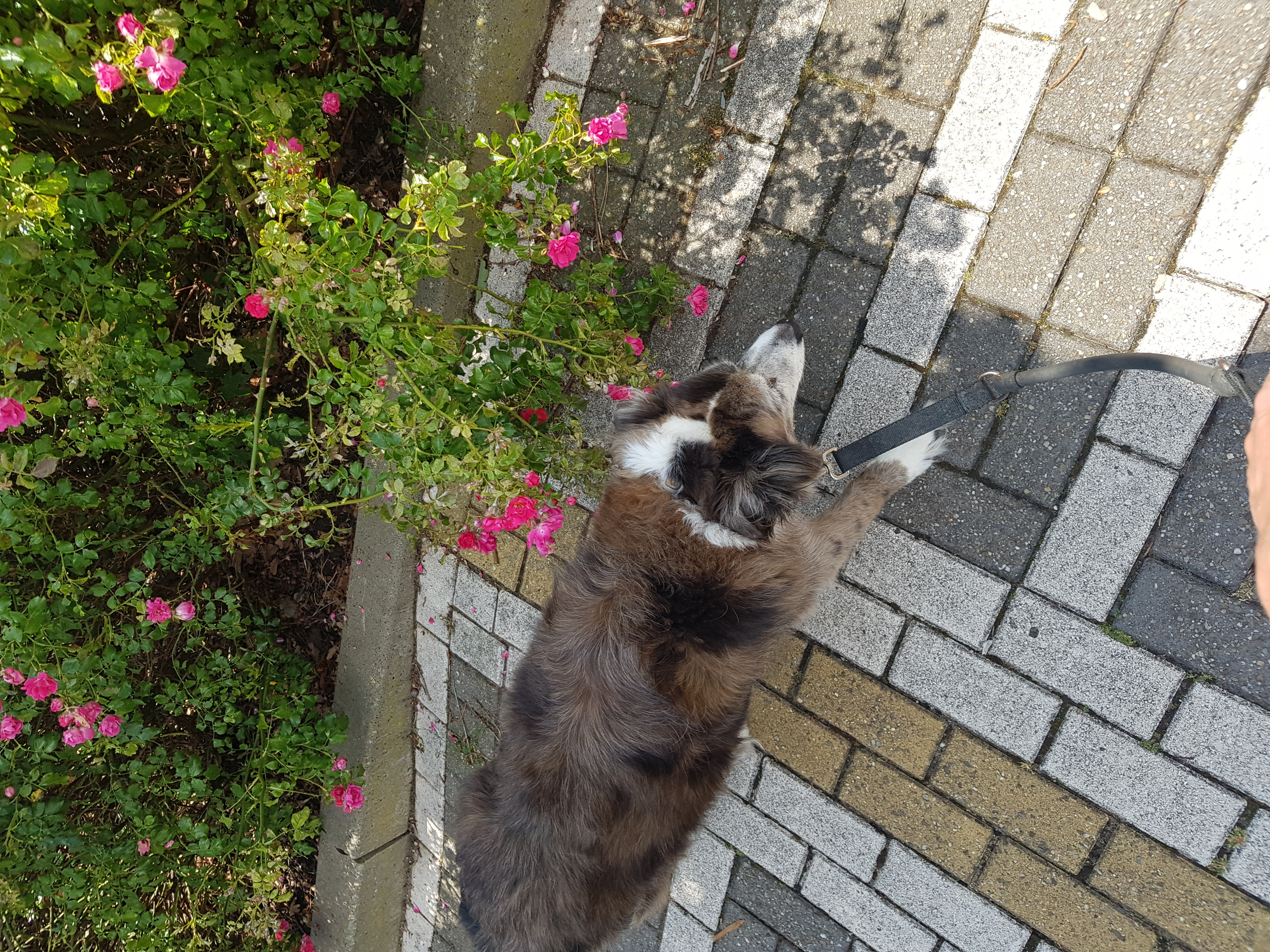 image-7