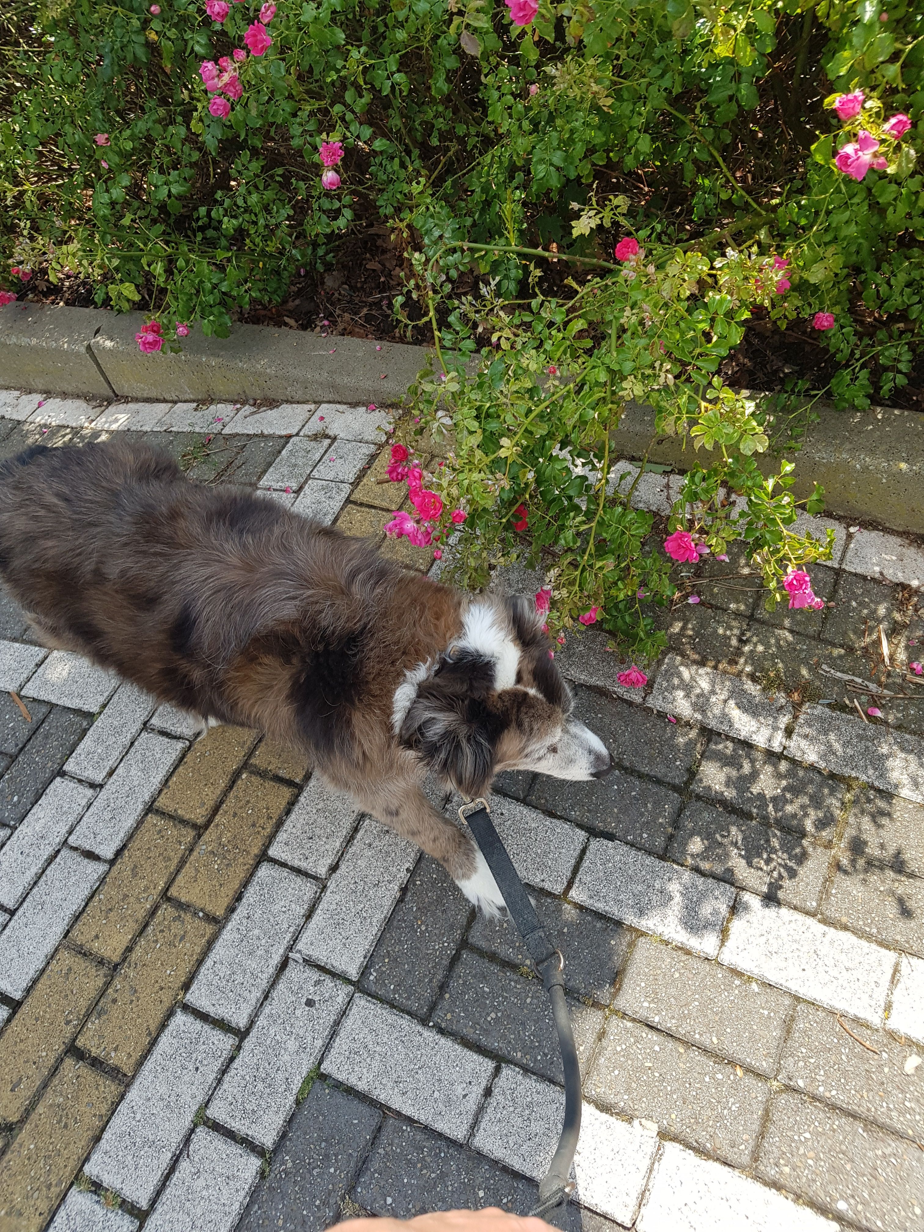 image-7