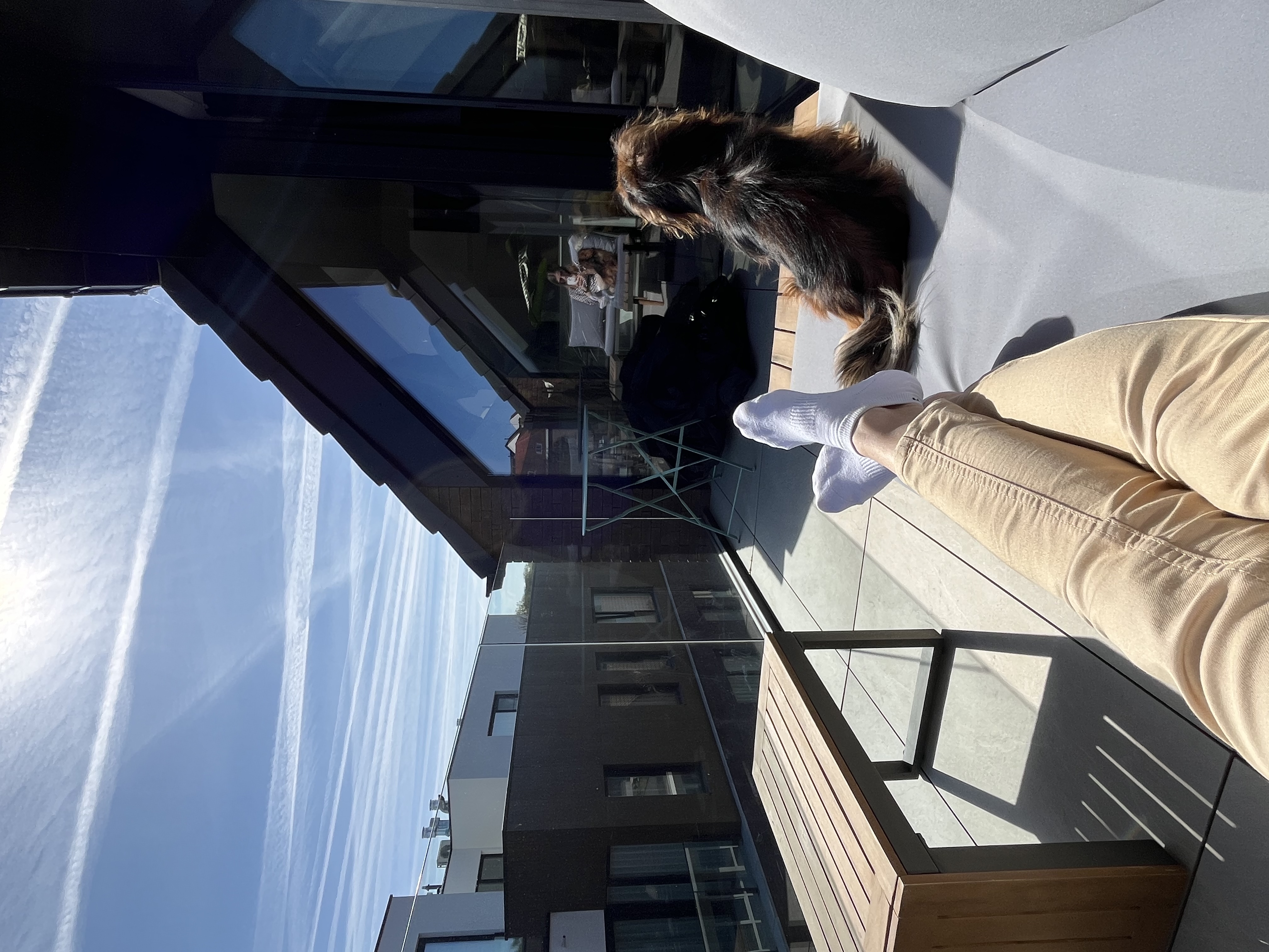 image-7