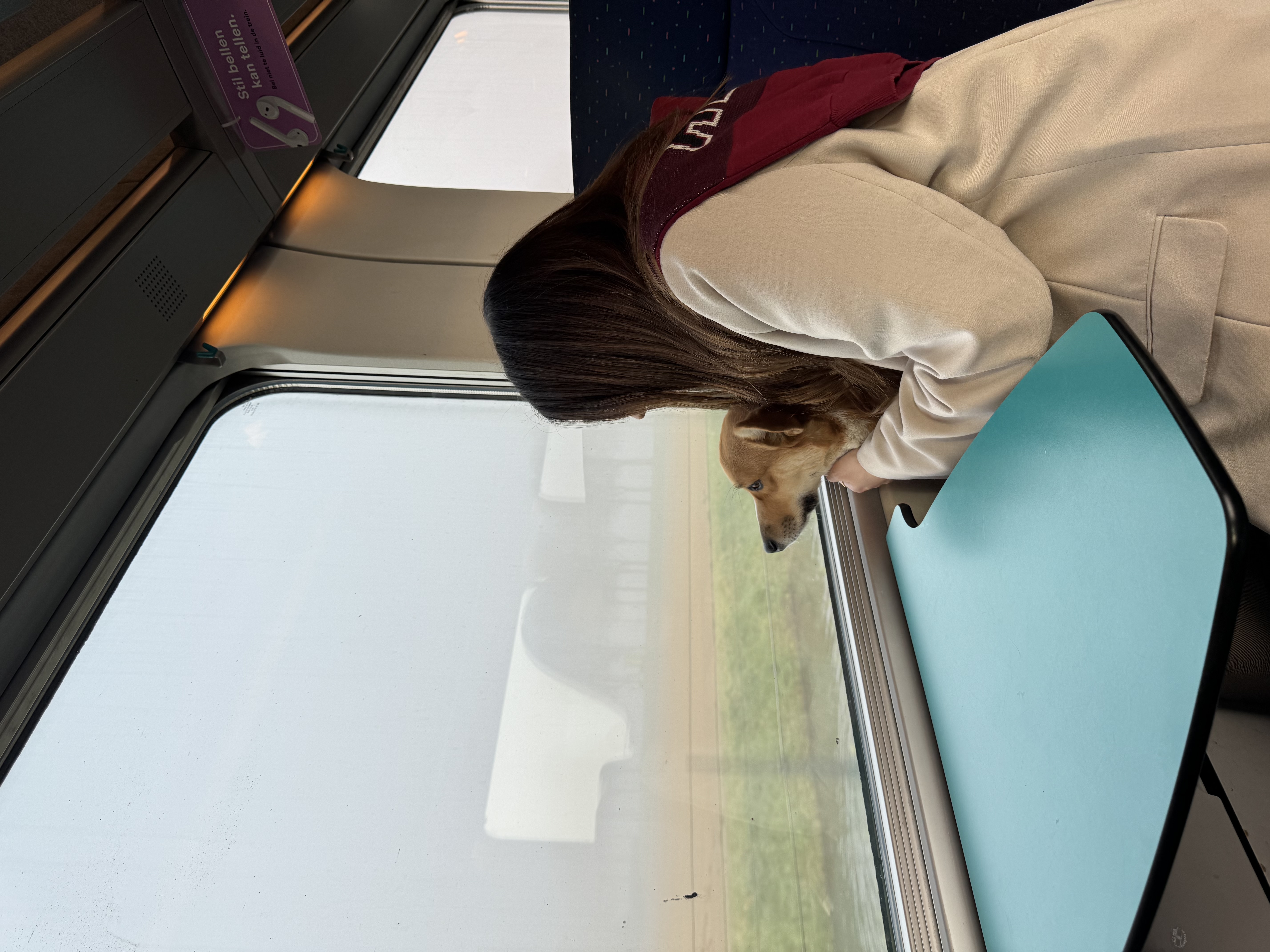 image-0