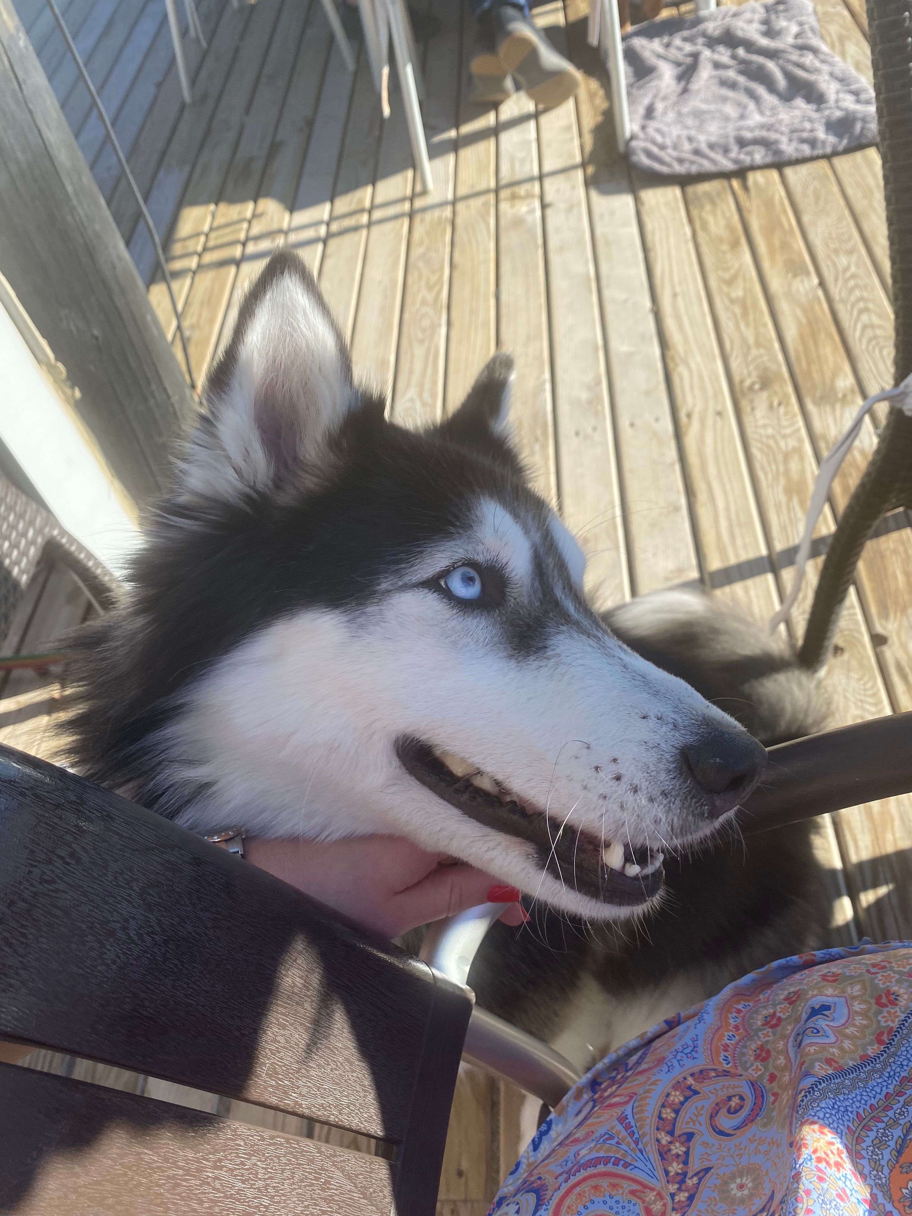 image-8