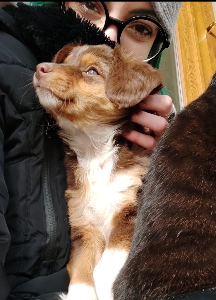 image-6