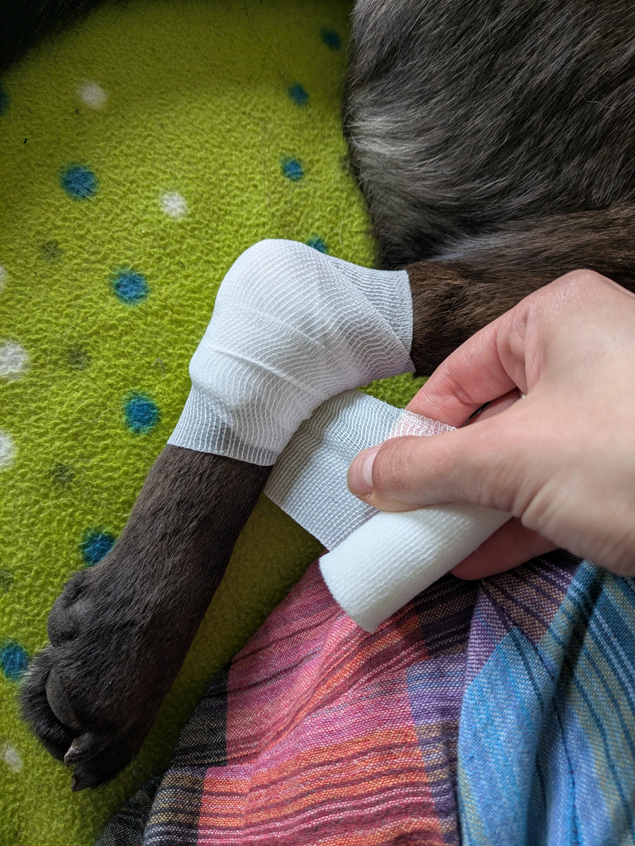 image-10
