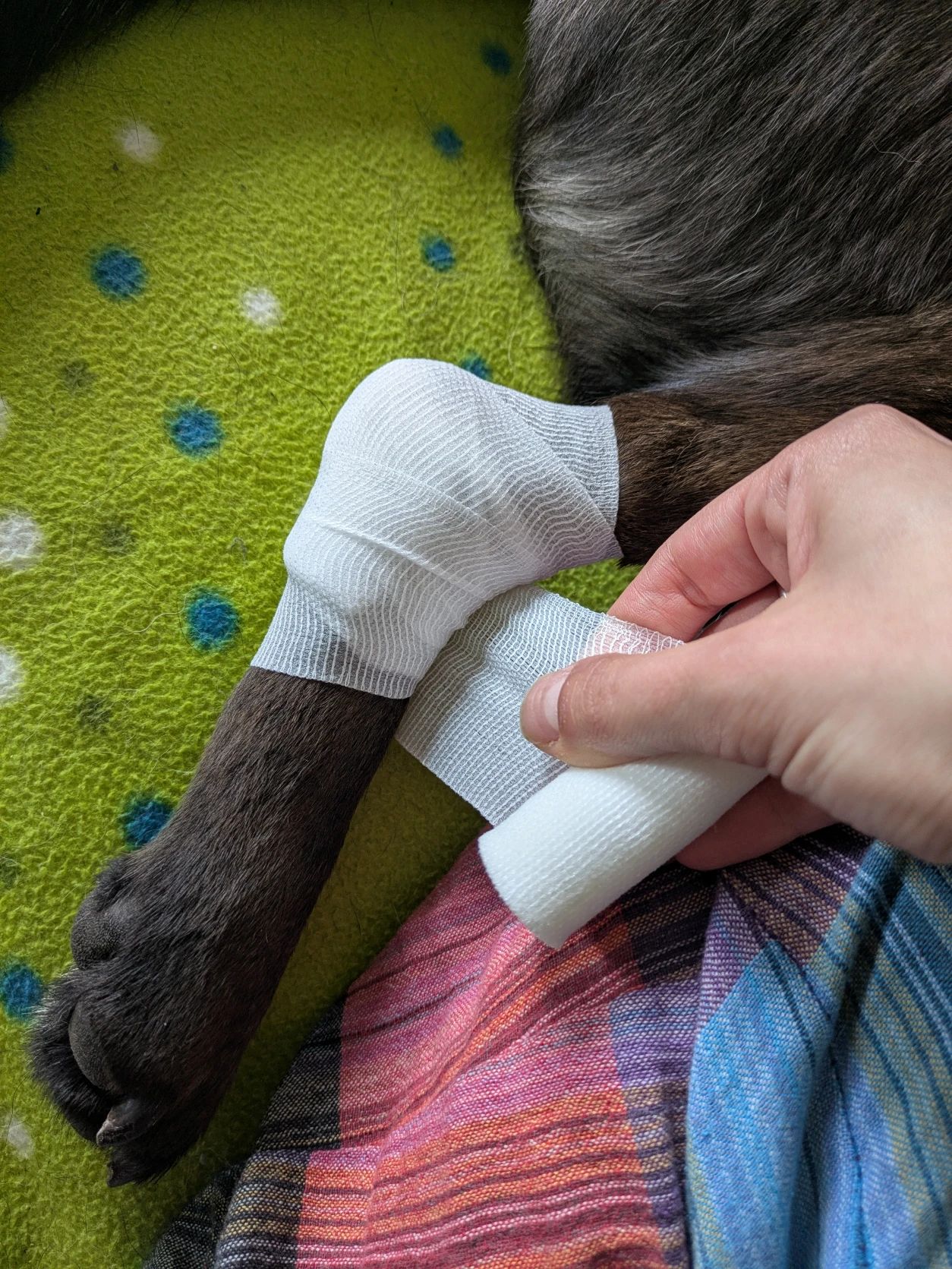 image-10
